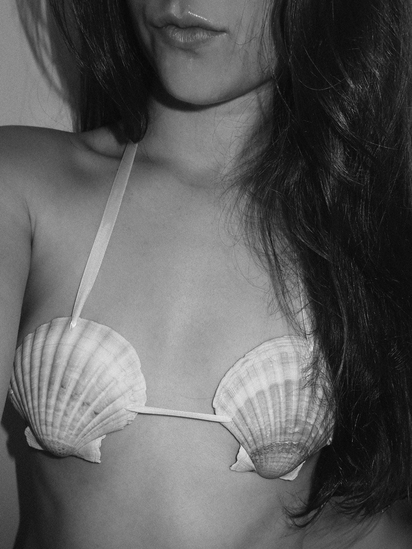 Handmade scallop shell top