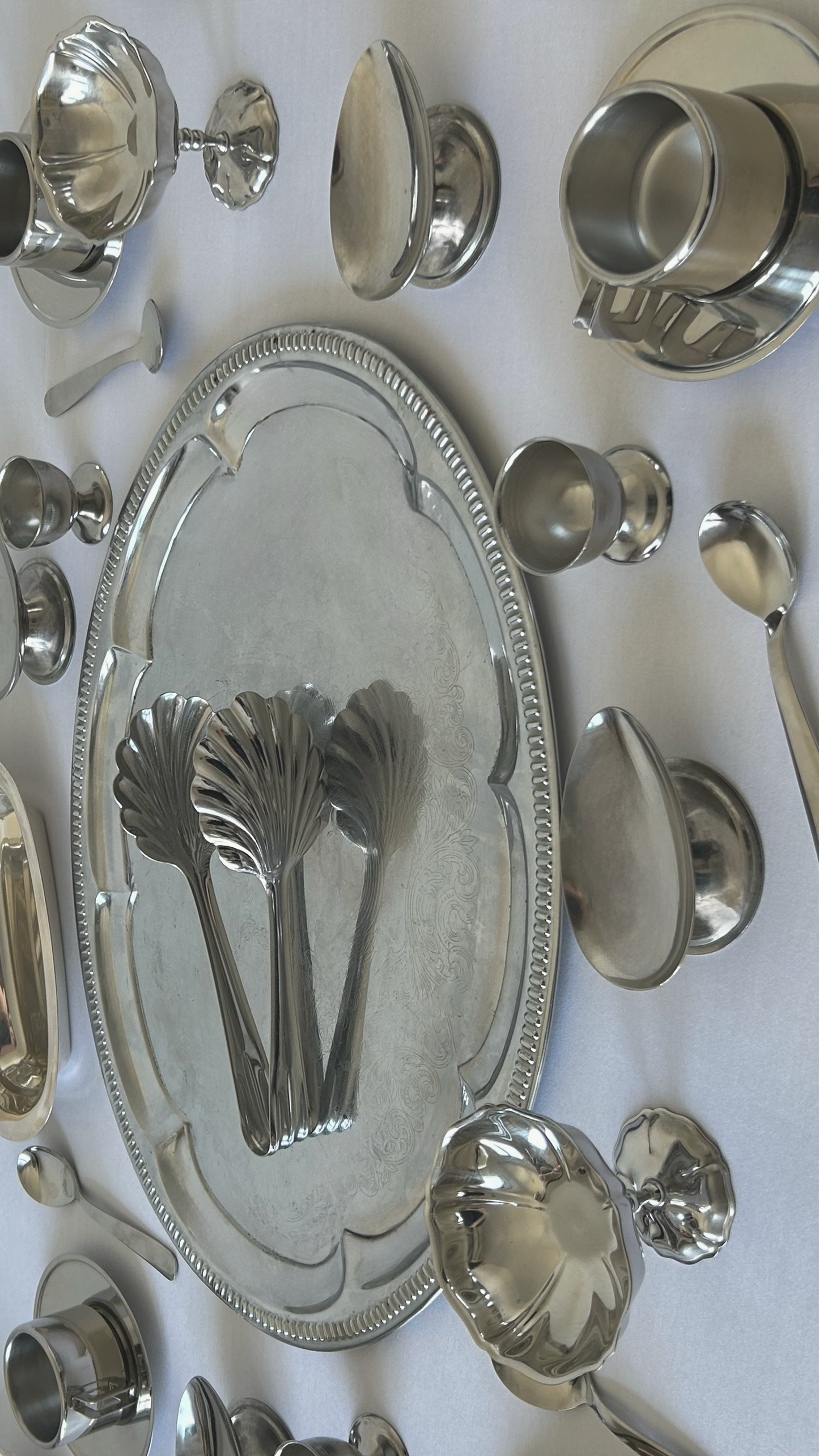 Stainless steel shell serving tongs