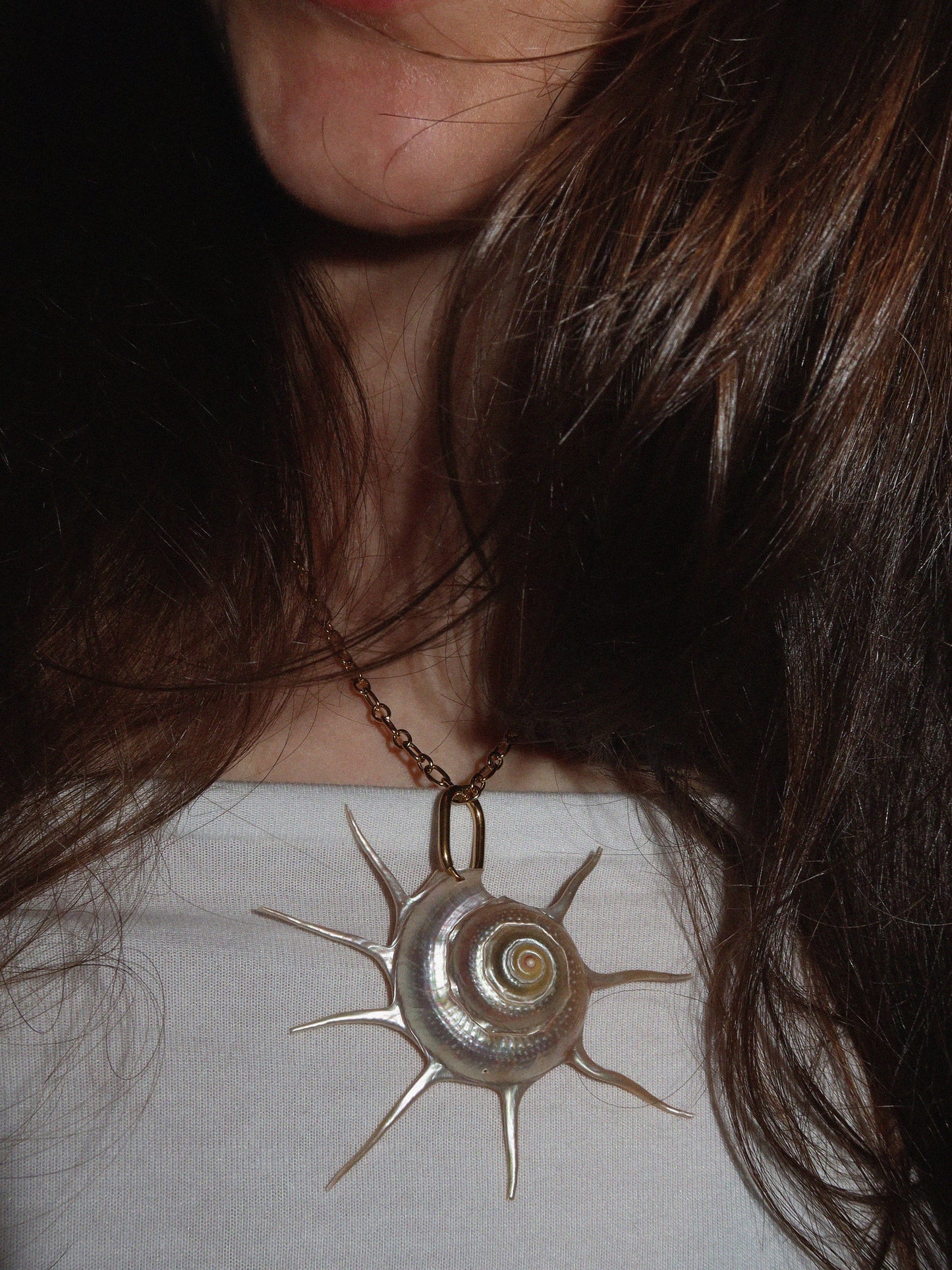 Charlotte - Gold Sun Shell Necklace