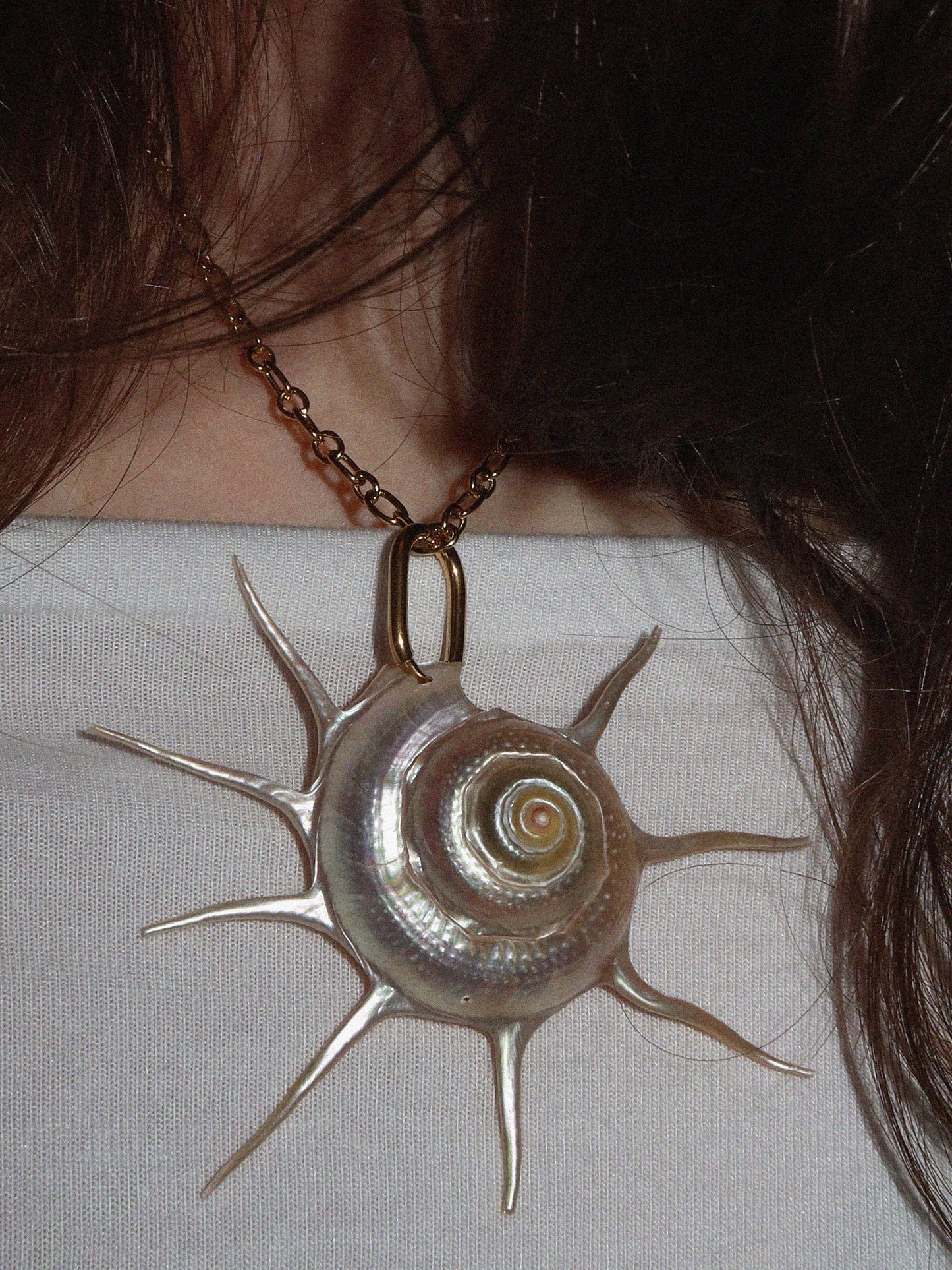 Charlotte - Gold Sun Shell Necklace