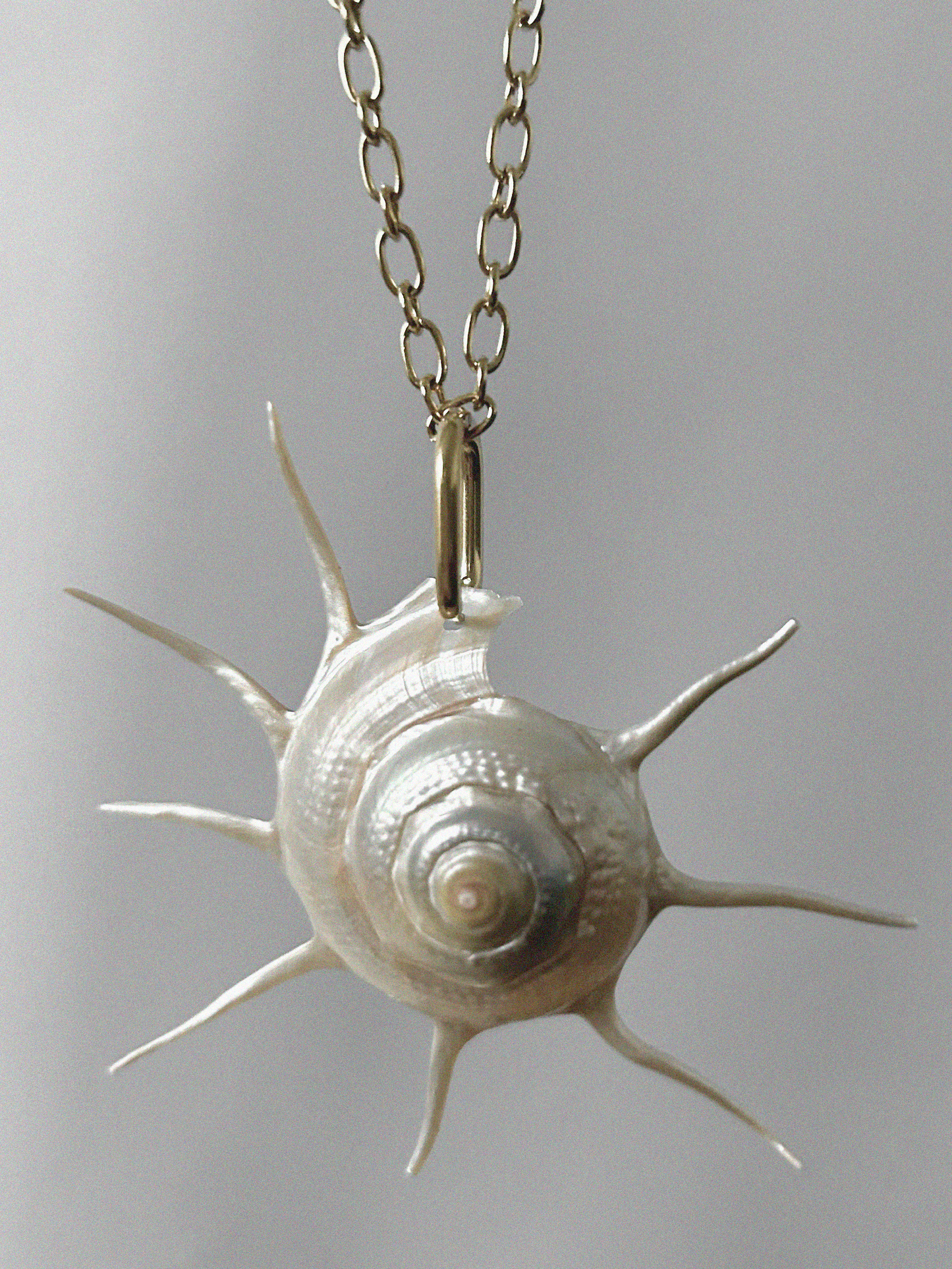 Charlotte - Gold Sun Shell Necklace