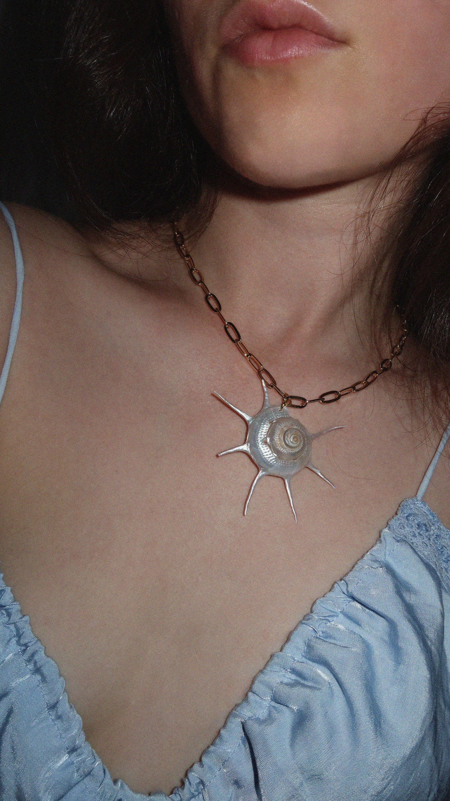 Sun Shell Necklace - SOLEIL D'OR