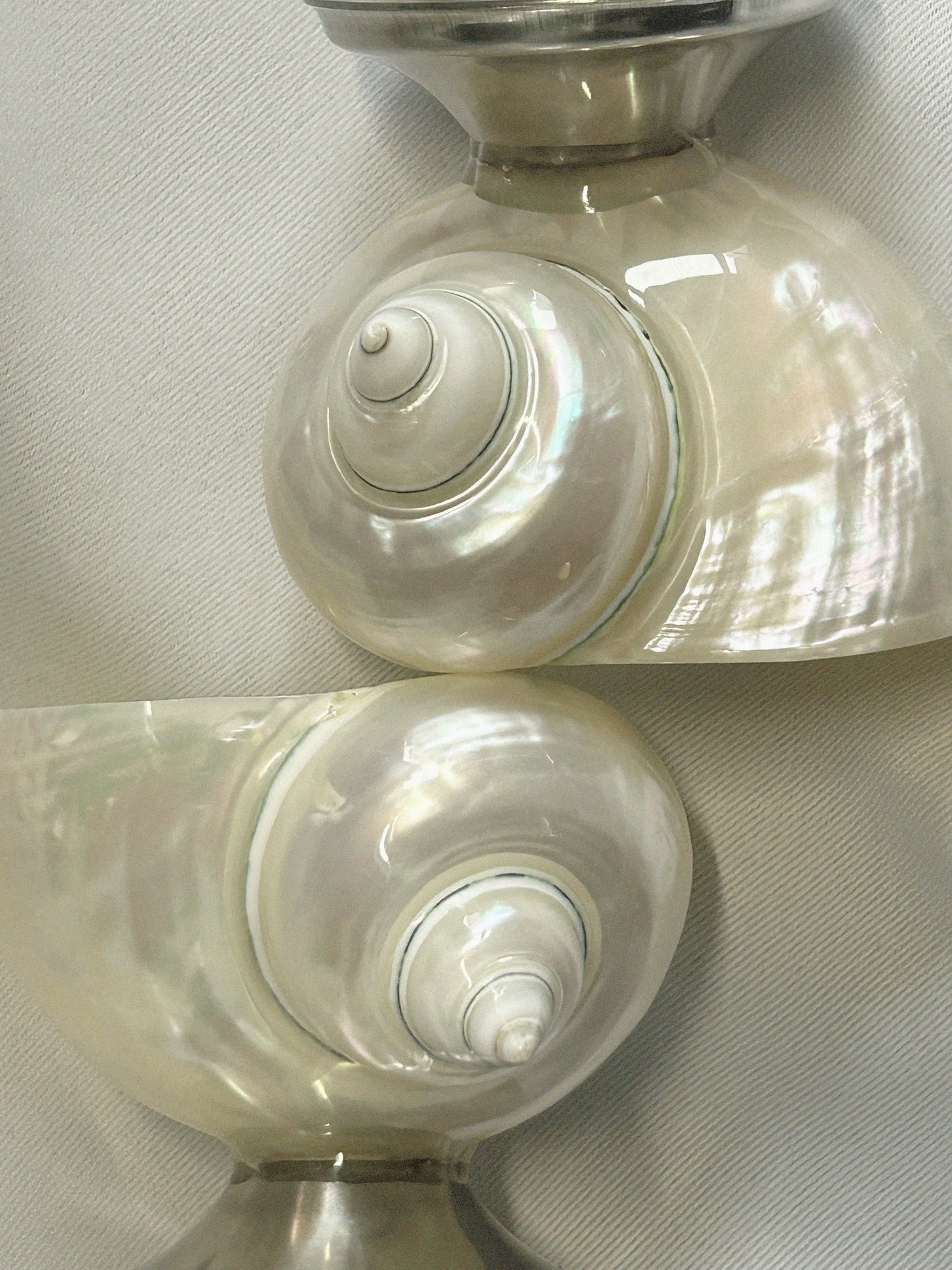 Shell Sugar Bowl