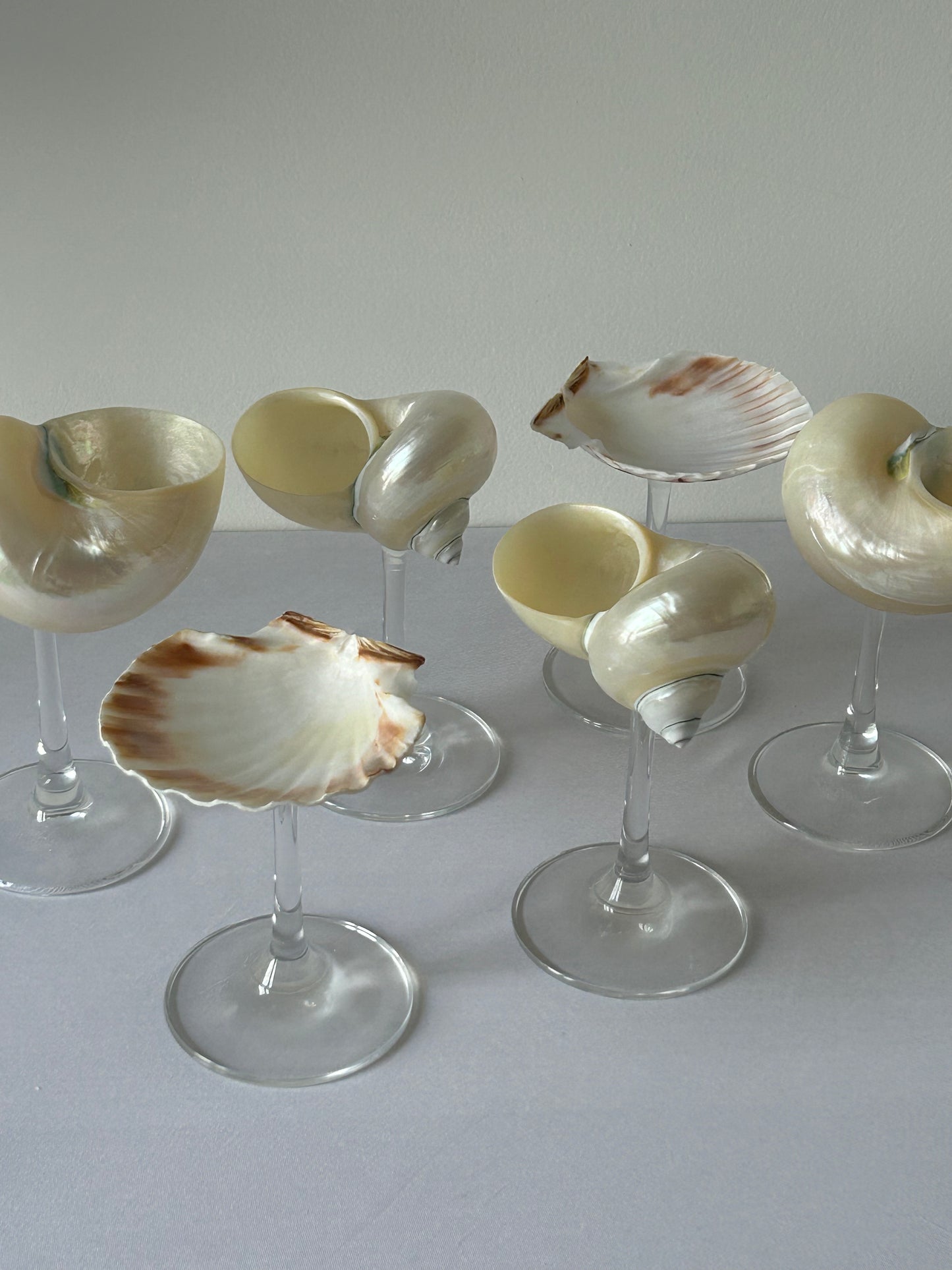 A set of two shell glasses withglass stem.