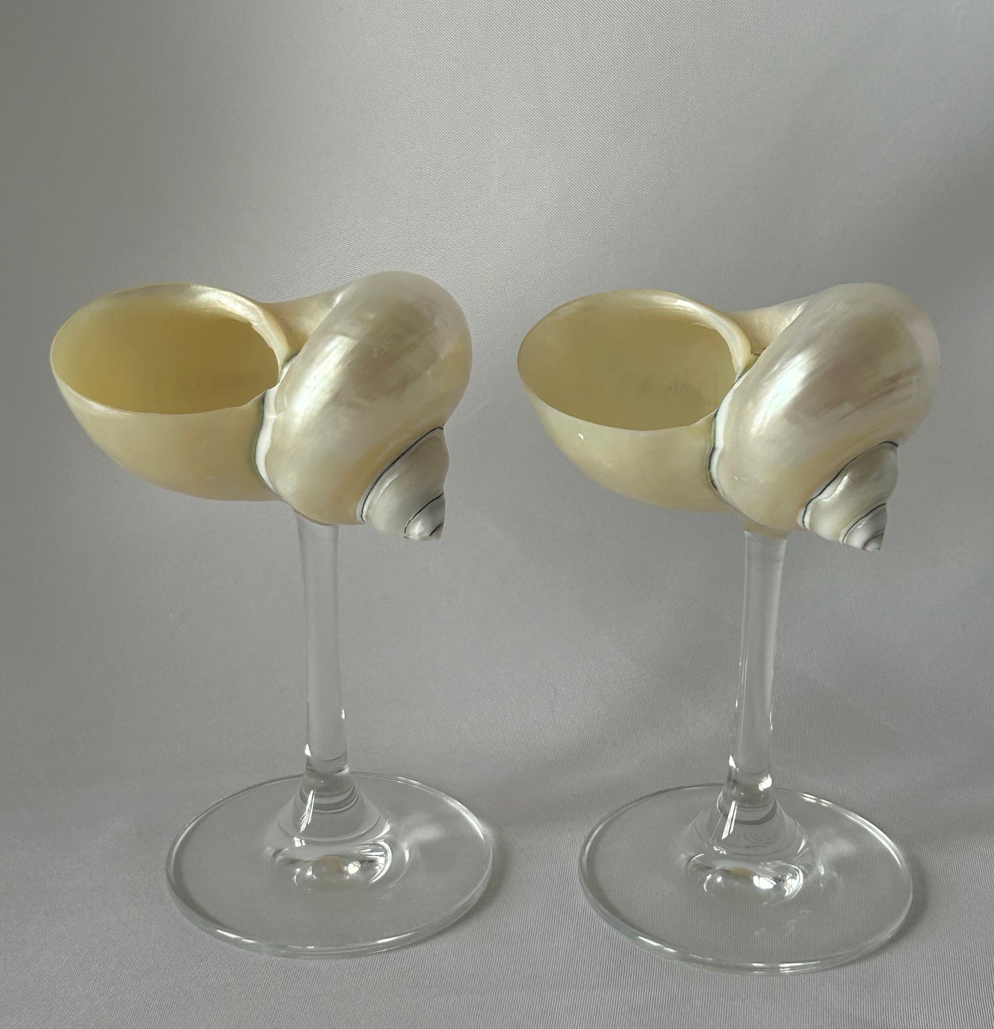 A Set of each classic shell glasses.