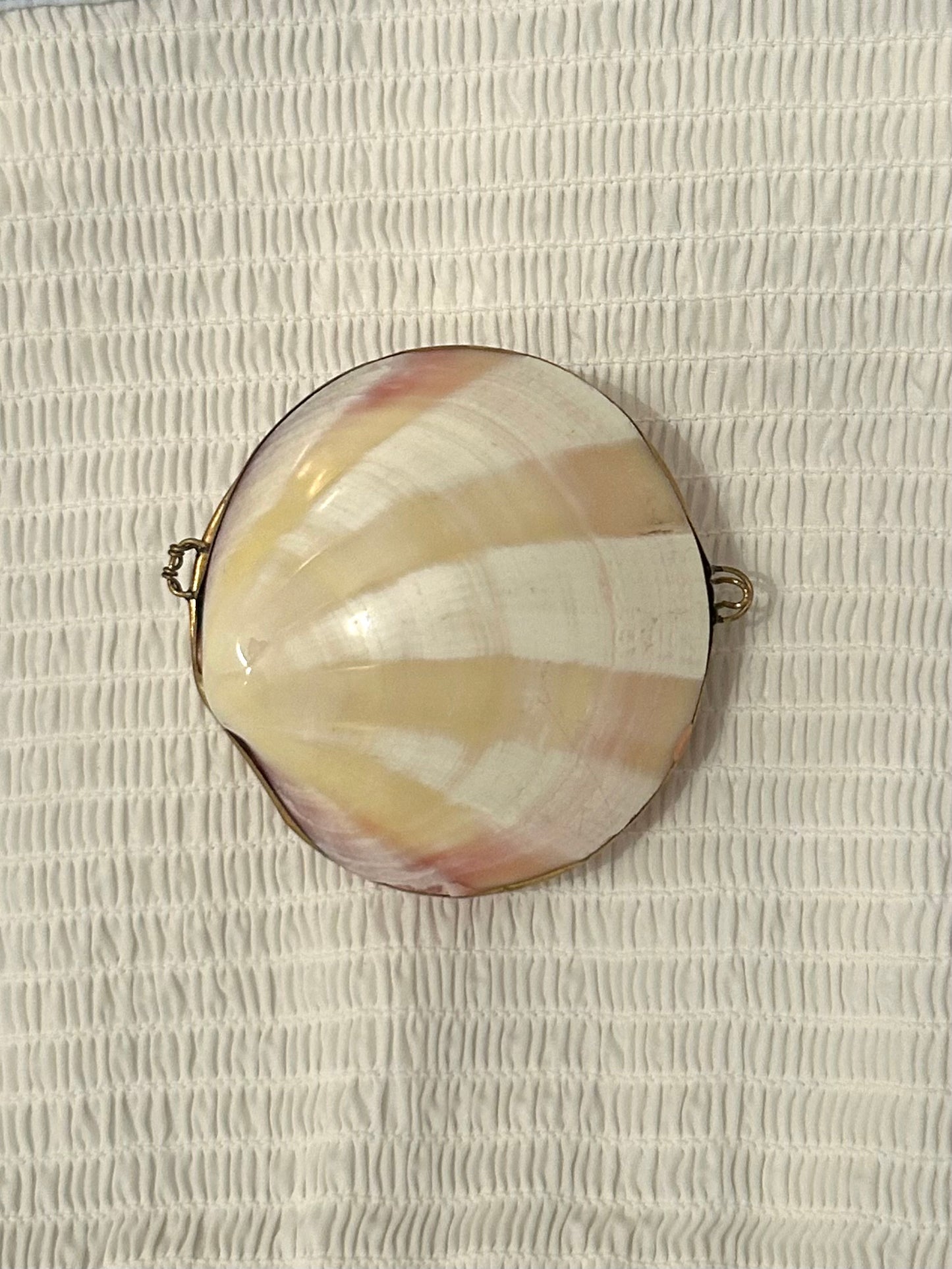 A Vintage Large Ribbed Cream Shell Coin Purse / Trinket Dish