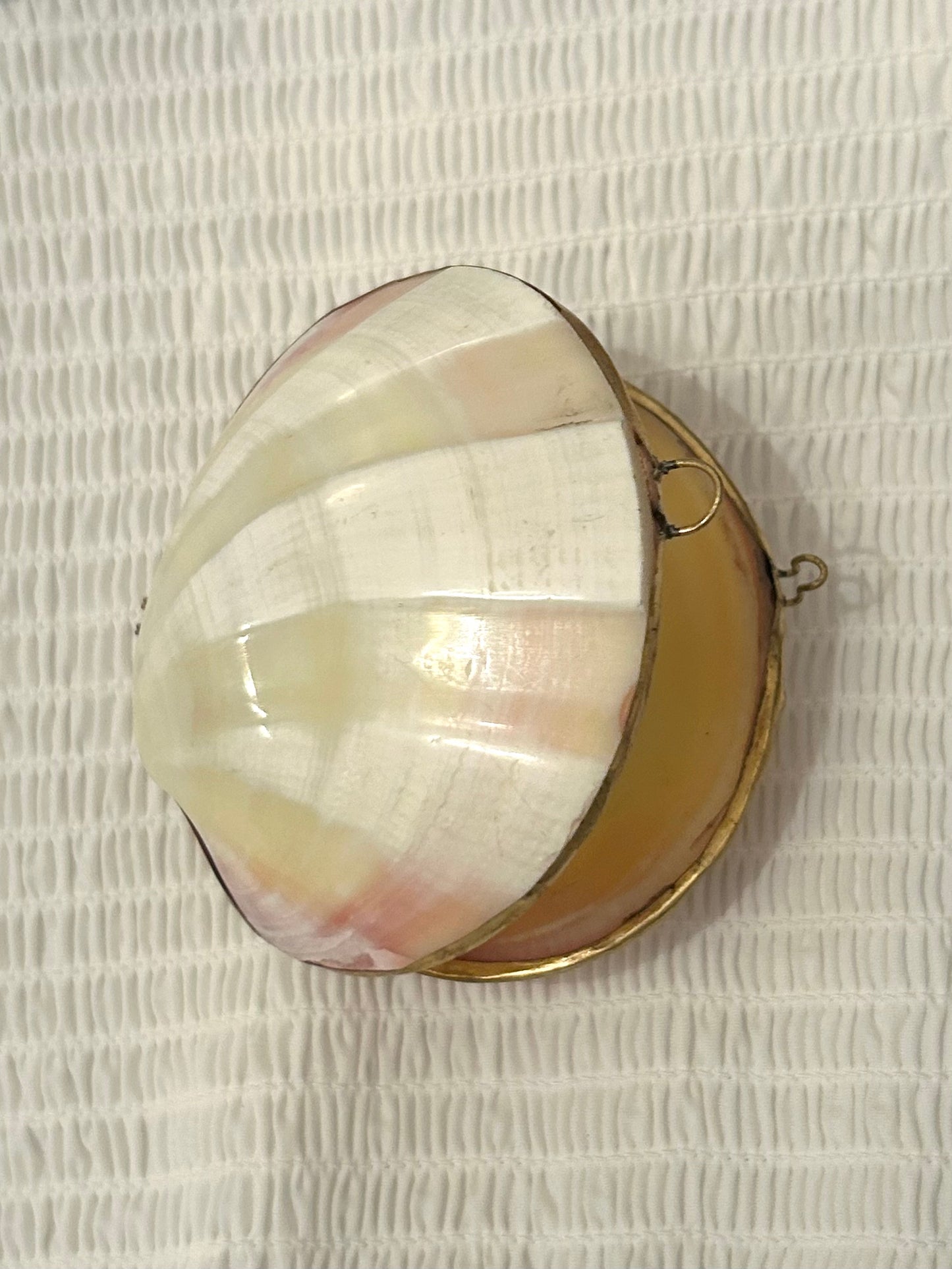 A Vintage Large Ribbed Cream Shell Coin Purse / Trinket Dish