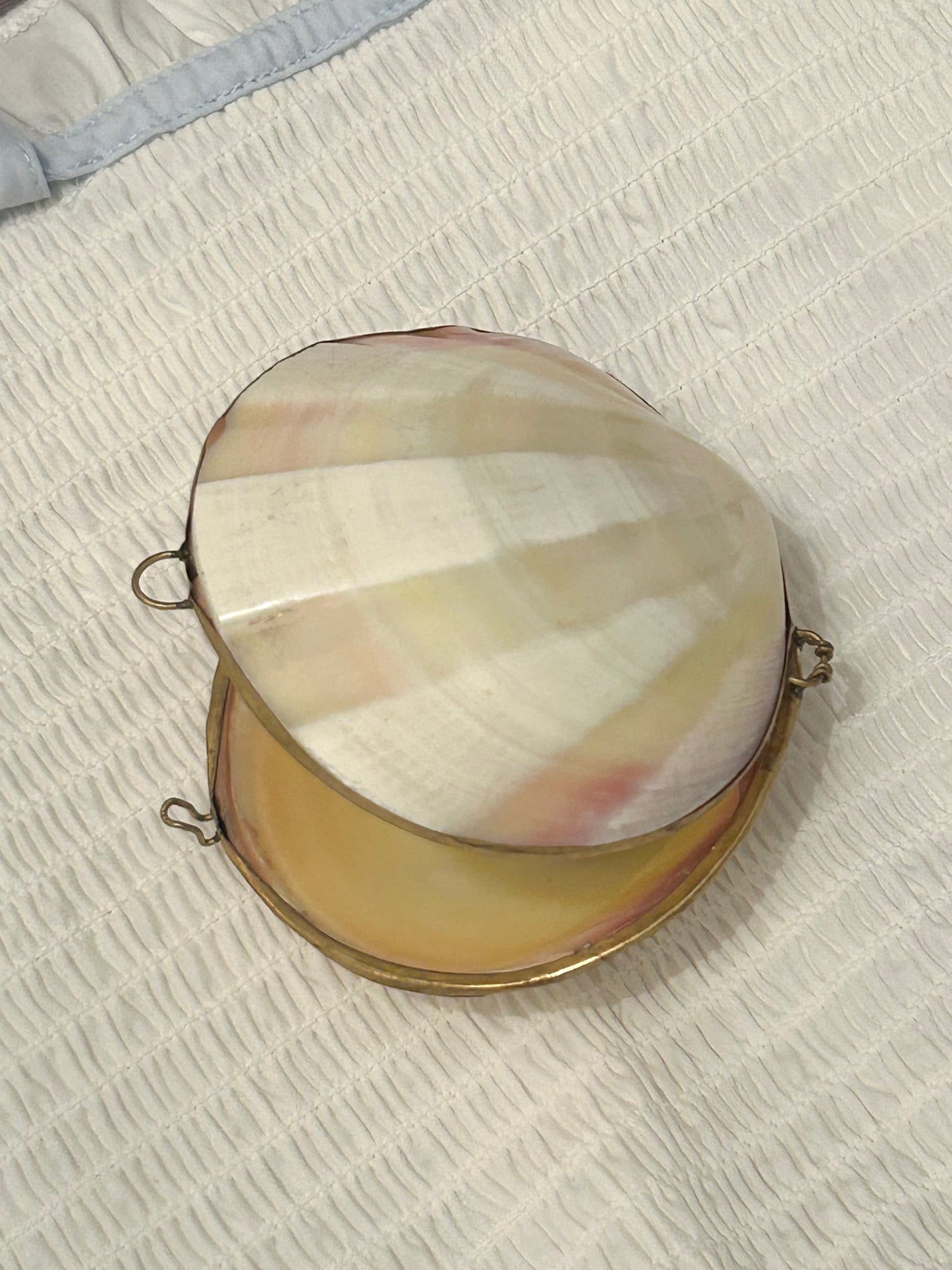 A Vintage Large Ribbed Cream Shell Coin Purse / Trinket Dish
