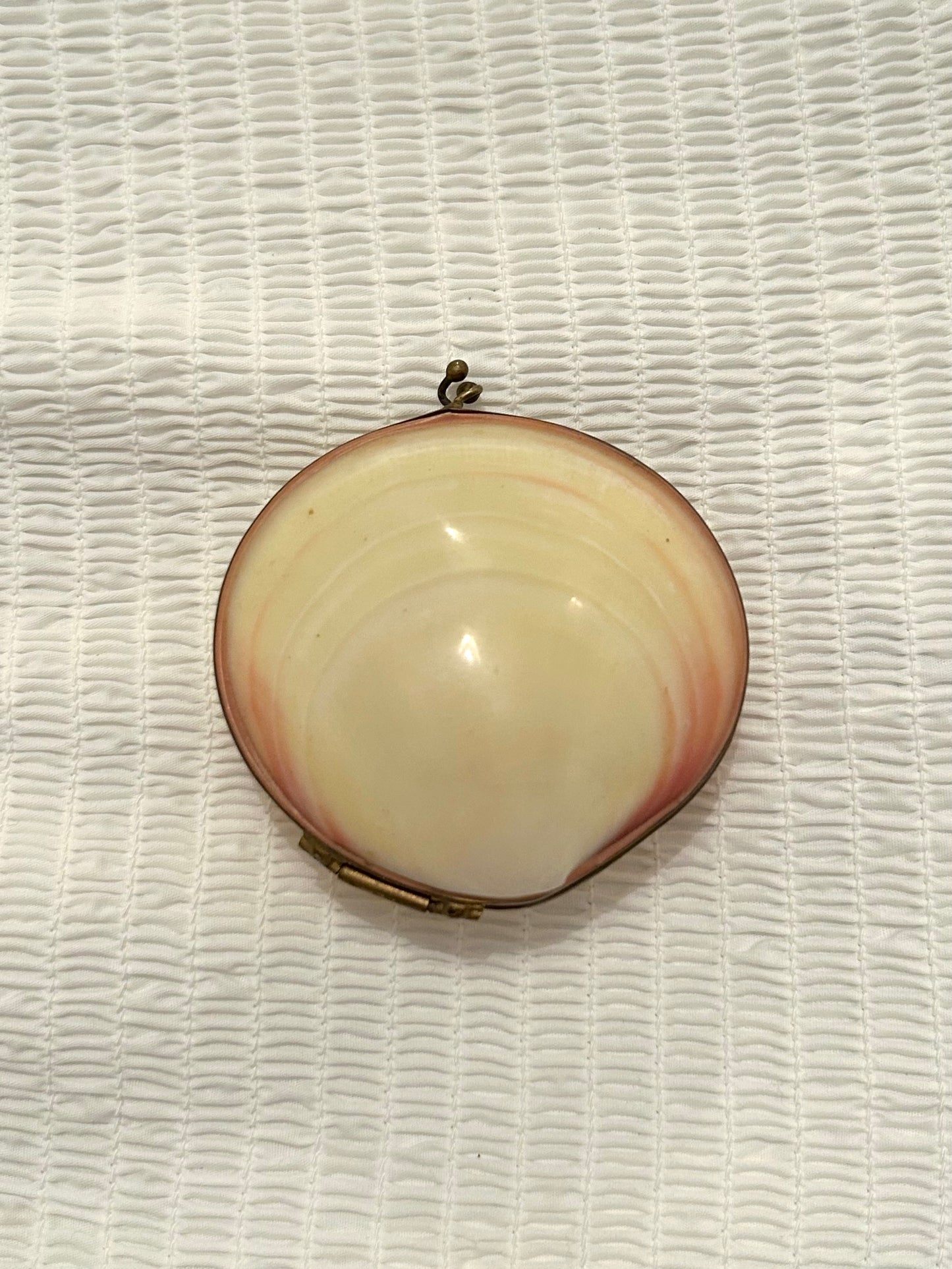Vintage Blush and Cream Shell Coin Purse / Trinket Dish