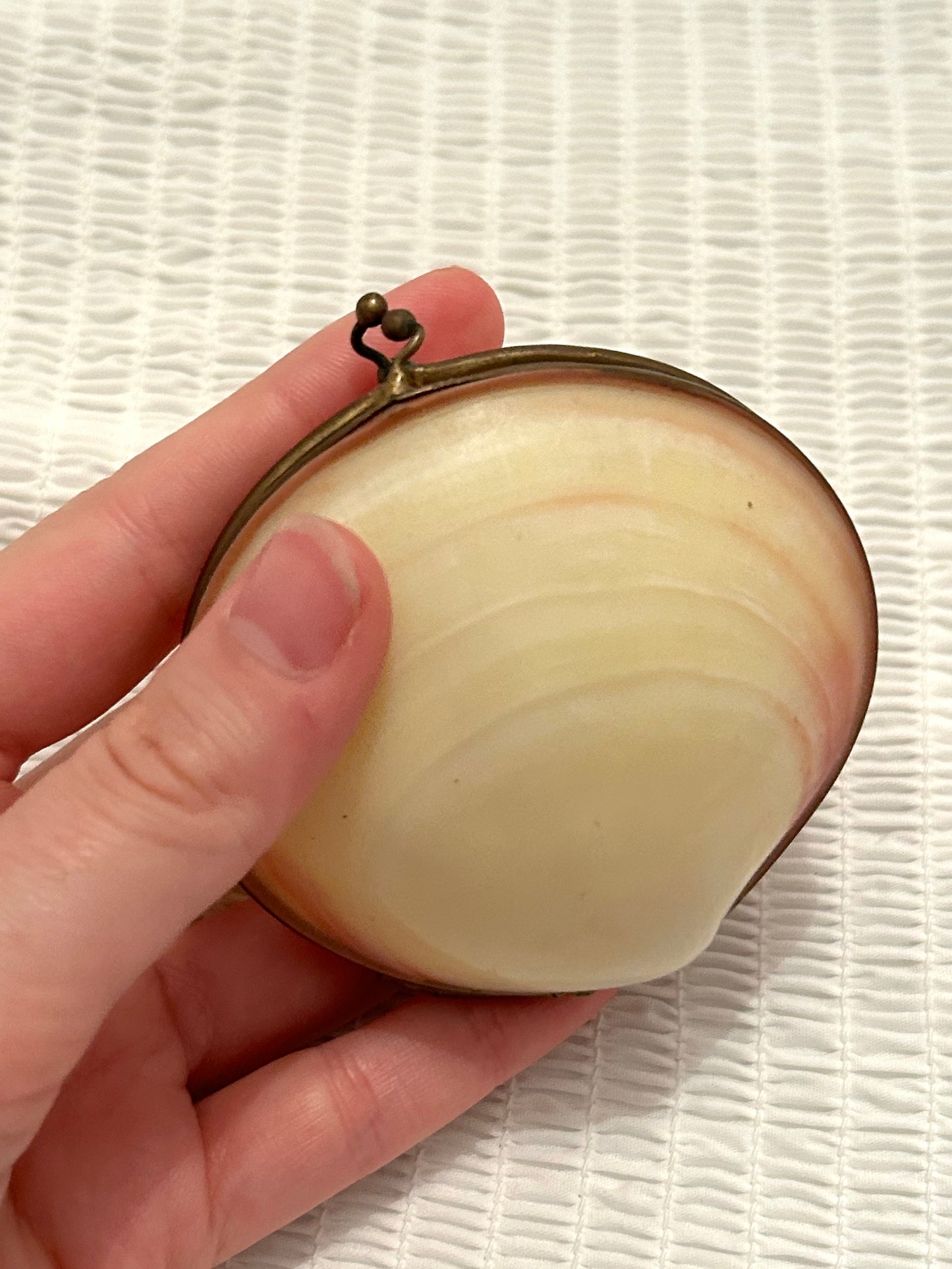 Vintage Blush and Cream Shell Coin Purse / Trinket Dish