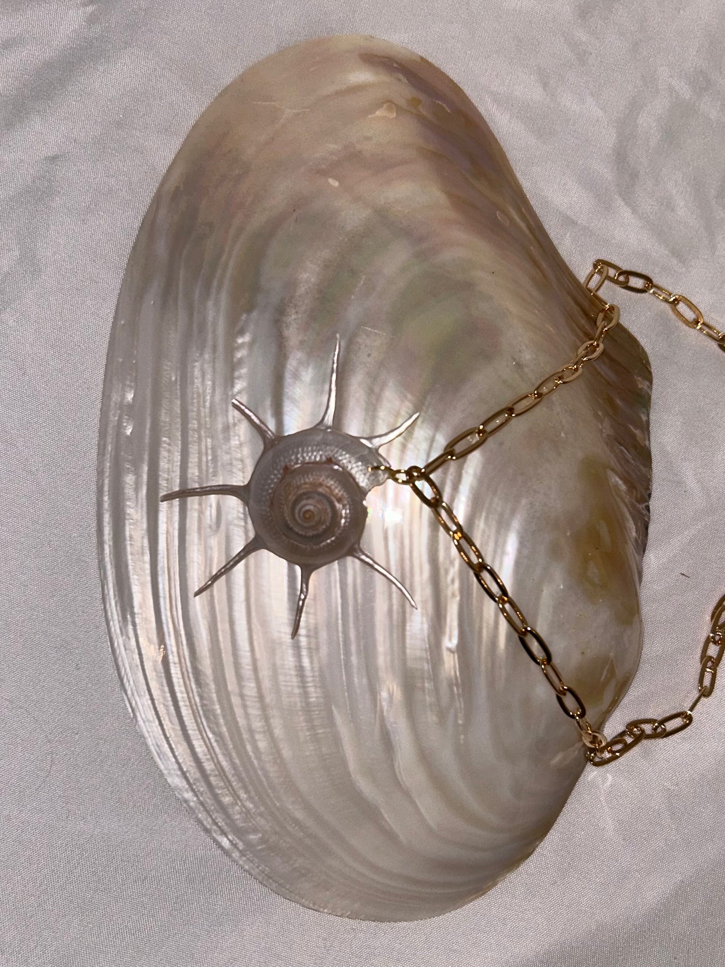 Natural pearly shell