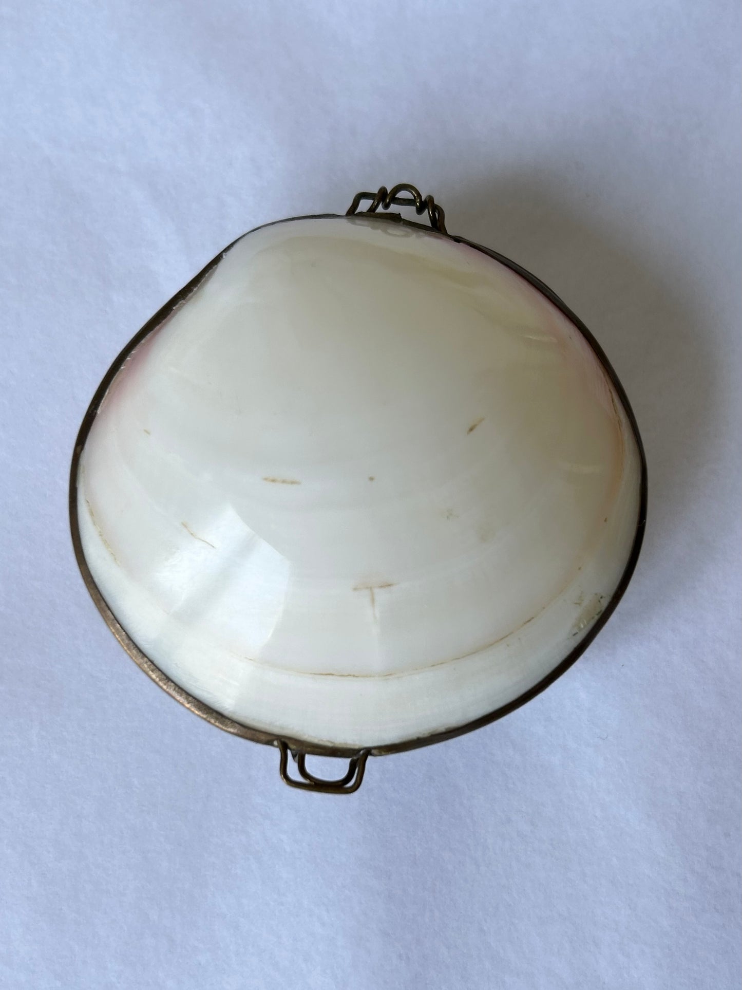 Vintage Cream Shell Coin Purse / Trinket Dish / Seashell pillbox