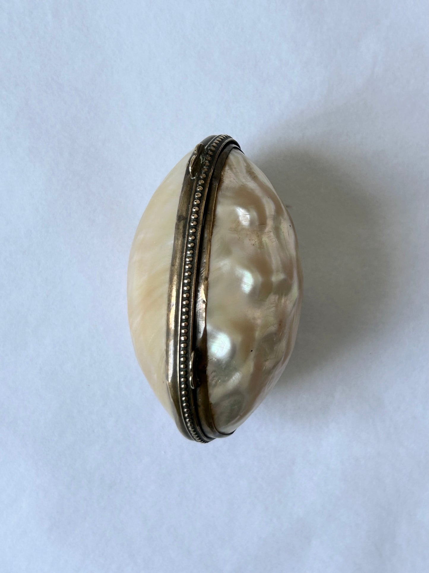Vintage Cream Shell Coin Purse / Seashell pillbox