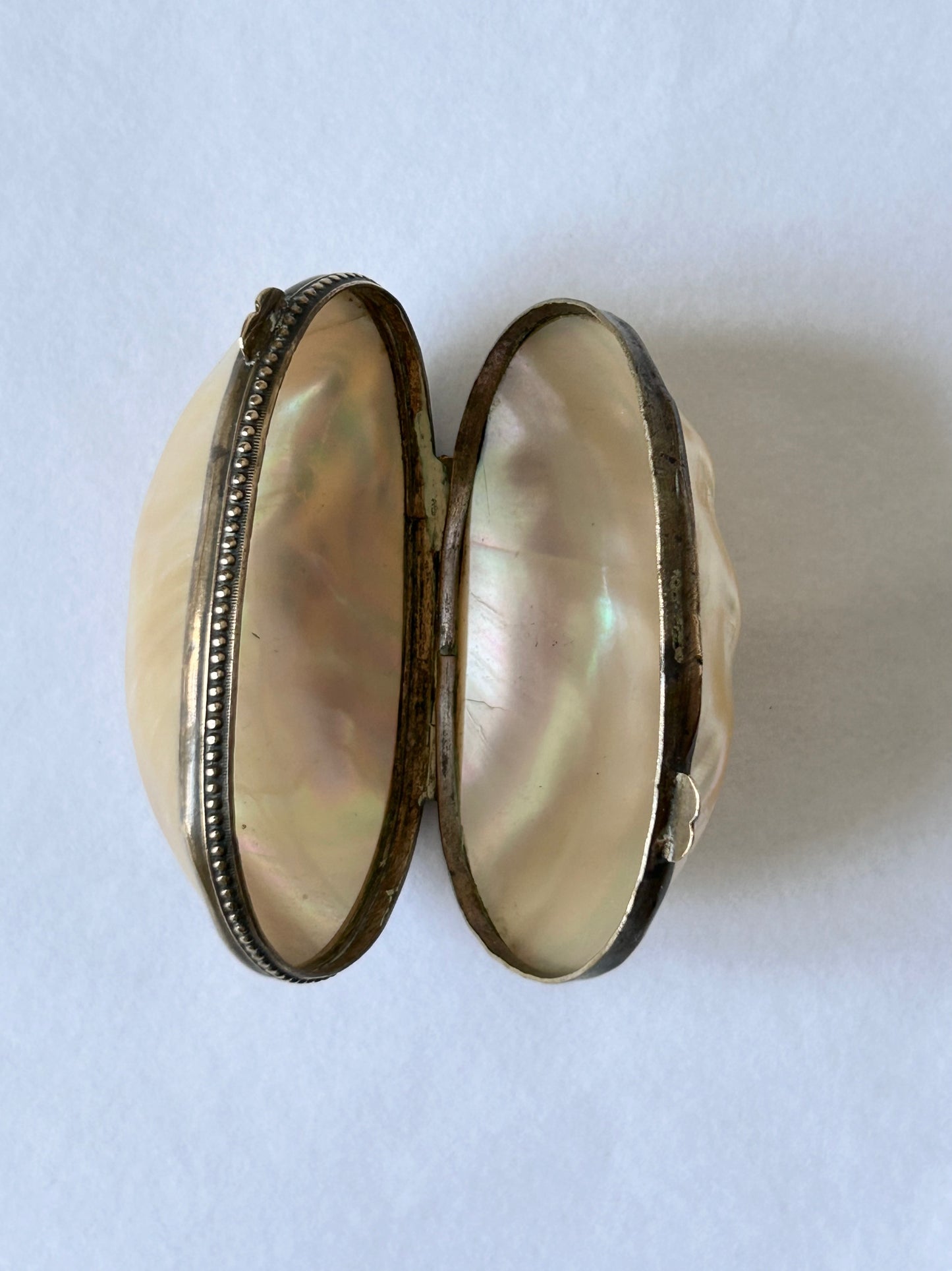 Vintage Cream Shell Coin Purse / Seashell pillbox