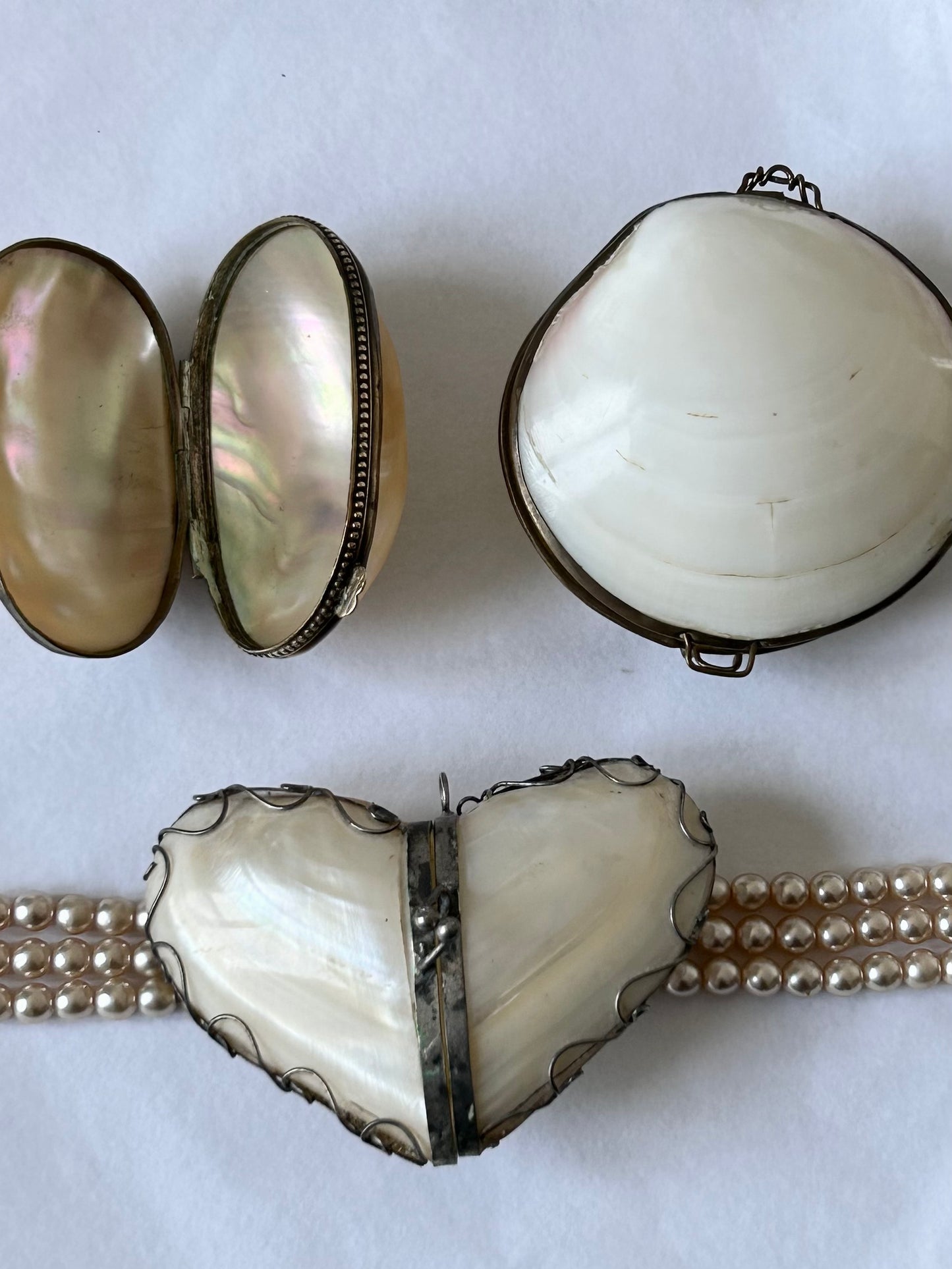 Vintage Cream Shell Coin Purse / Seashell pillbox