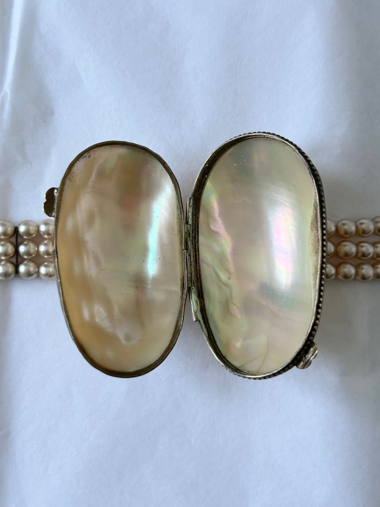 Vintage Cream Shell Coin Purse / Seashell pillbox