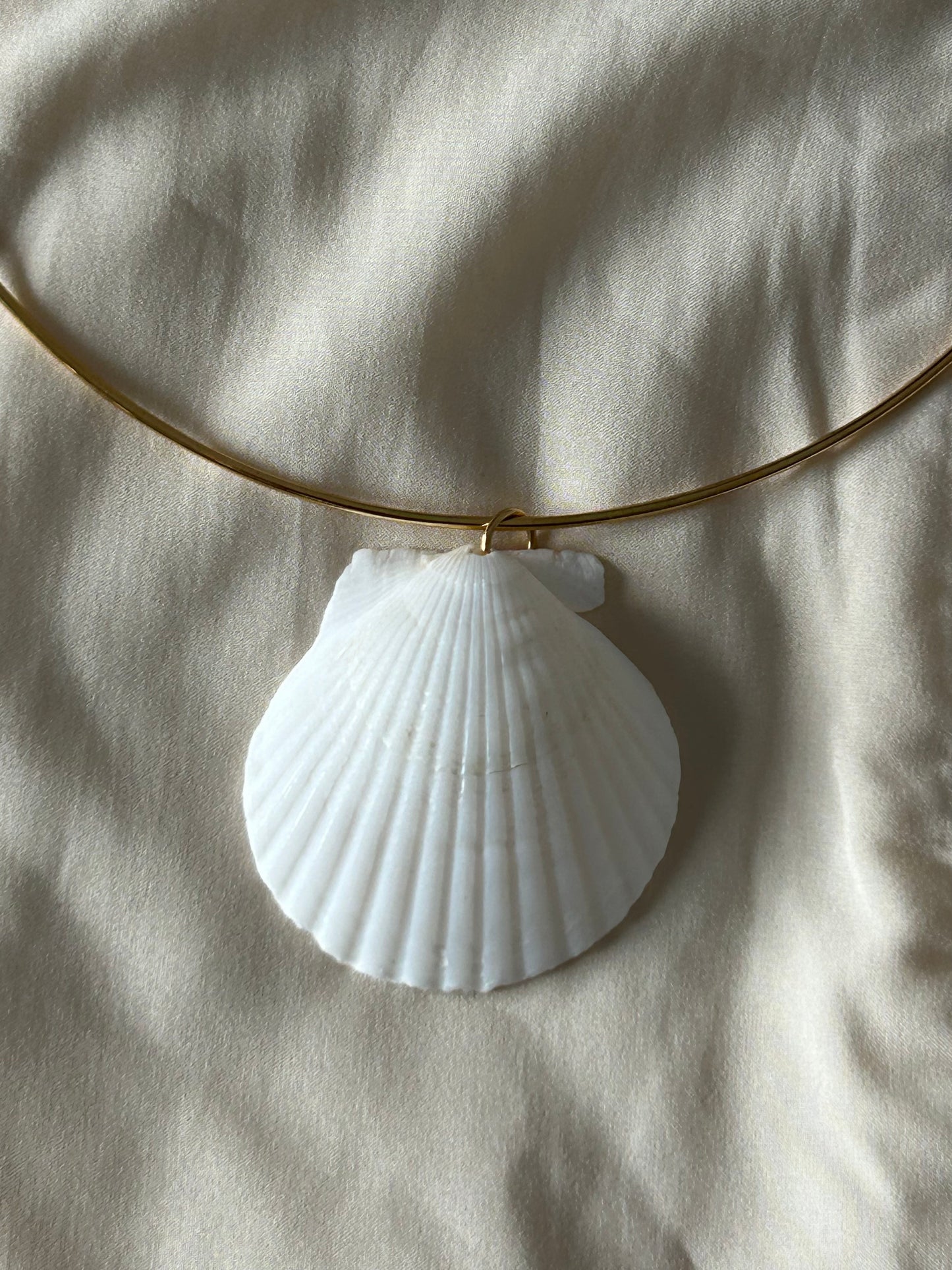 Natural Clam Necklace