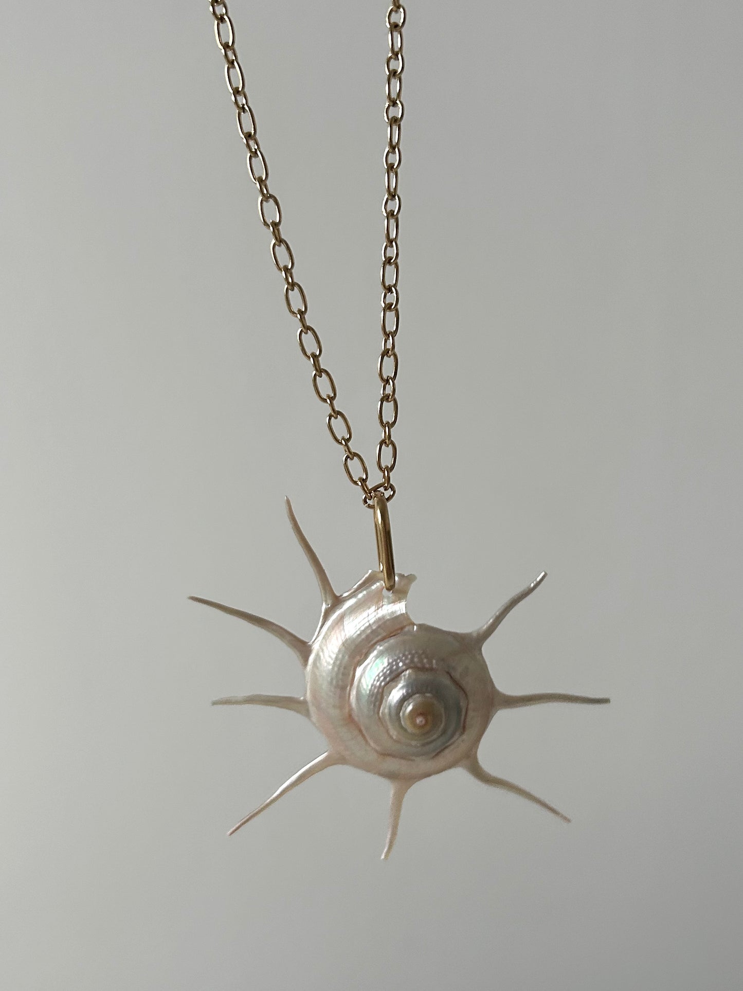 Charlotte - Gold Sun Shell Necklace