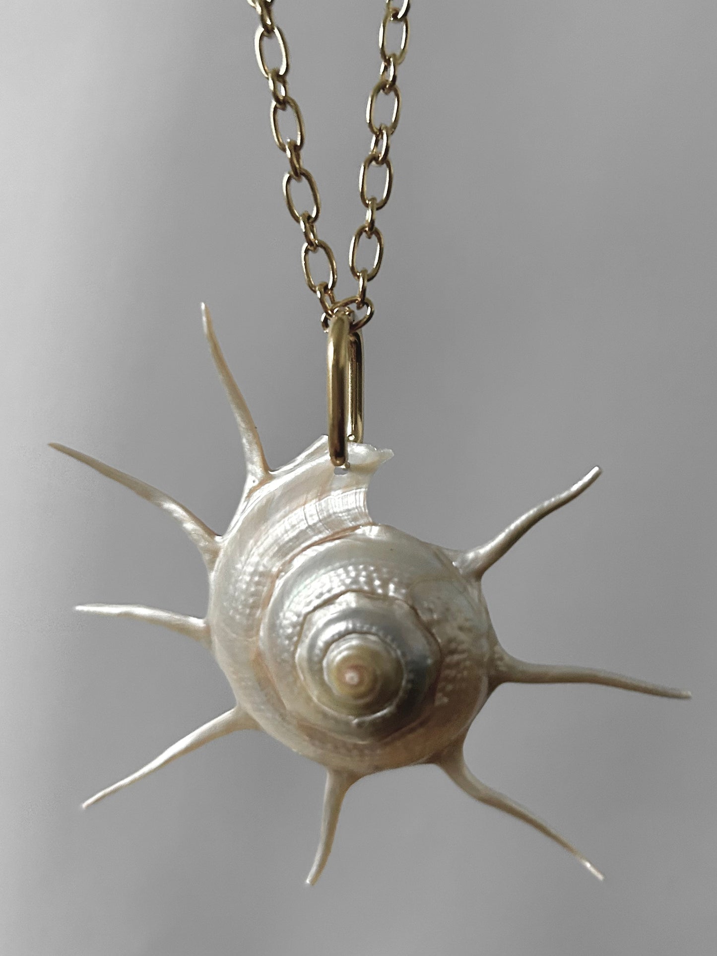 Charlotte - Gold Sun Shell Necklace