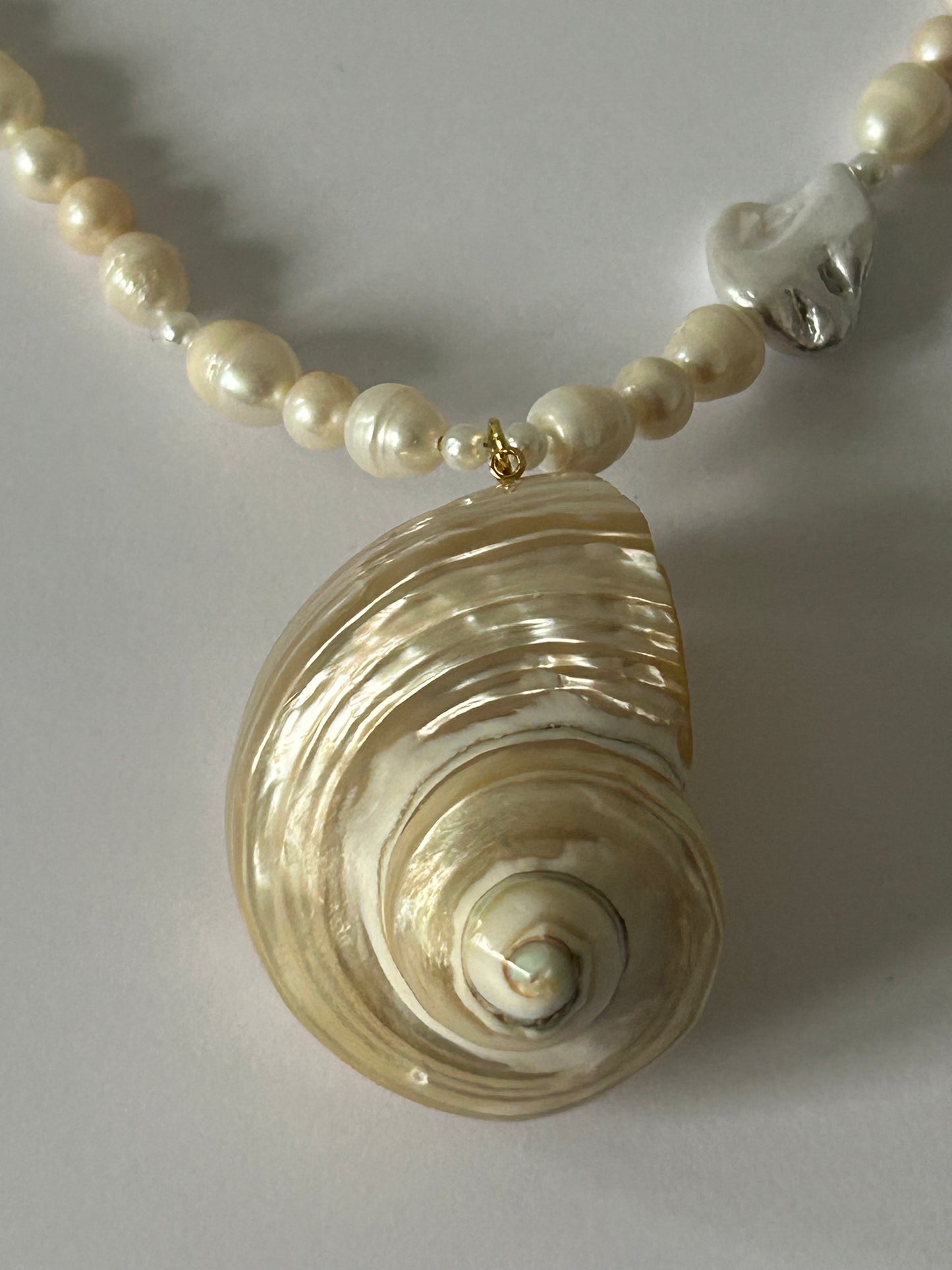 Curl Shell Necklace