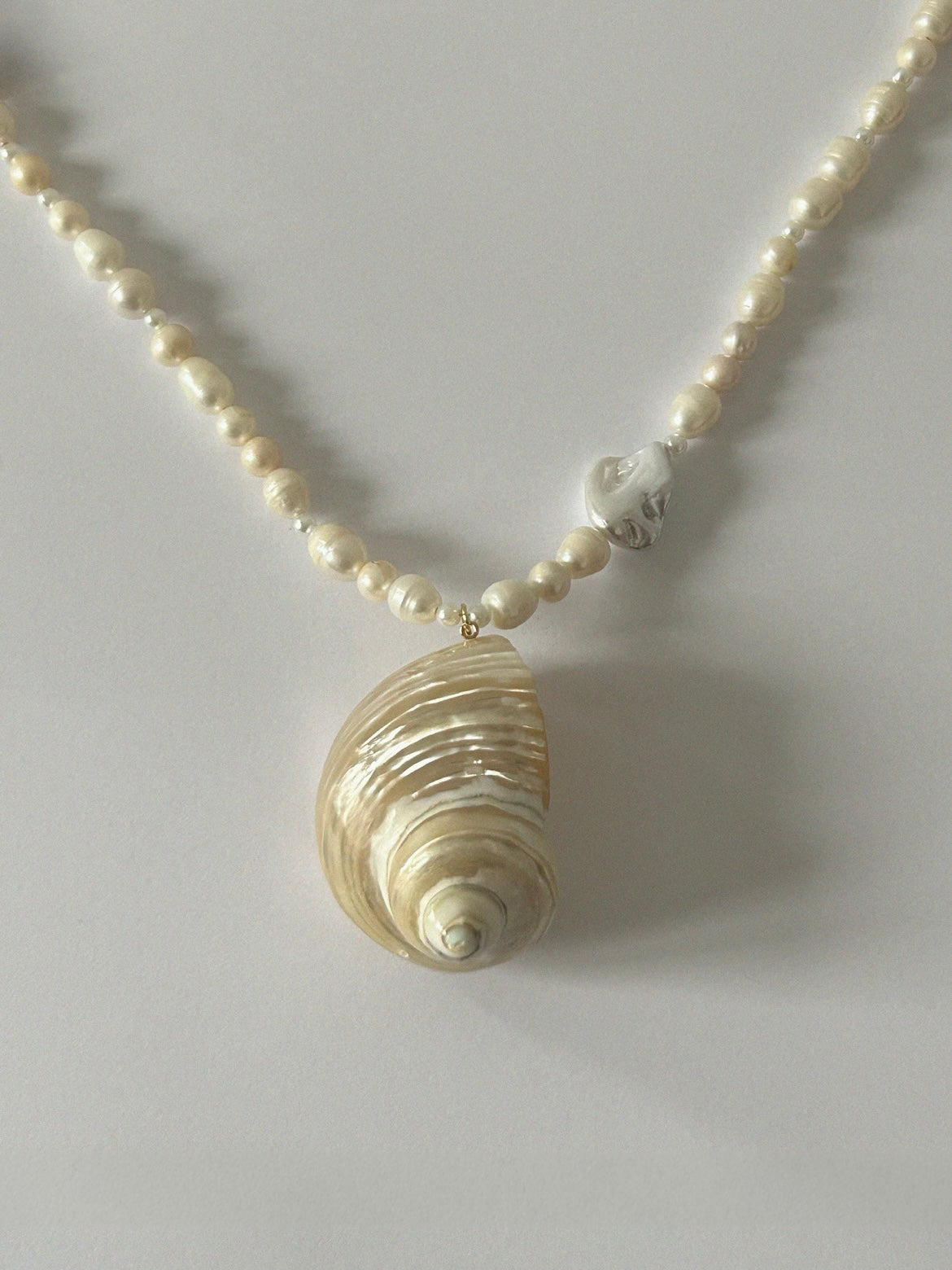 Curl Shell Necklace