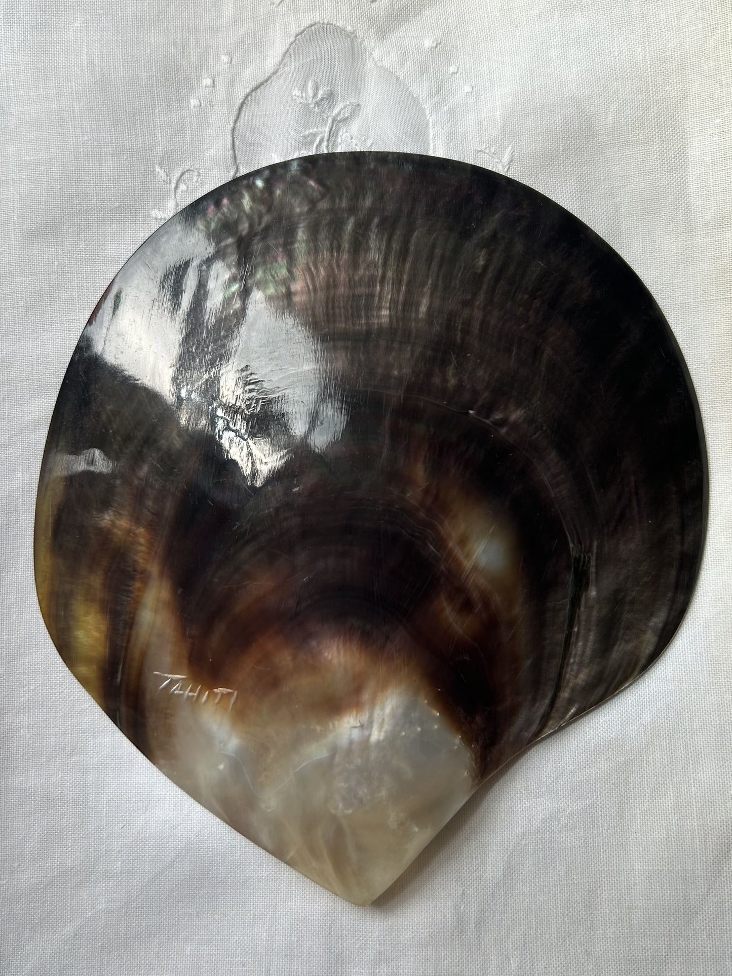 Tahitian Mother of Pearl Dish. Island Luxury