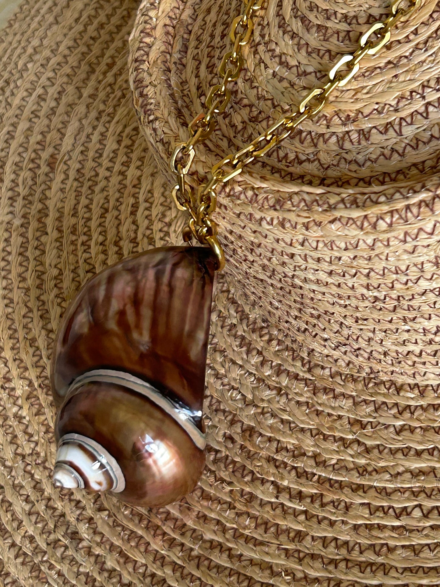 Glam Turbo Shell Necklace