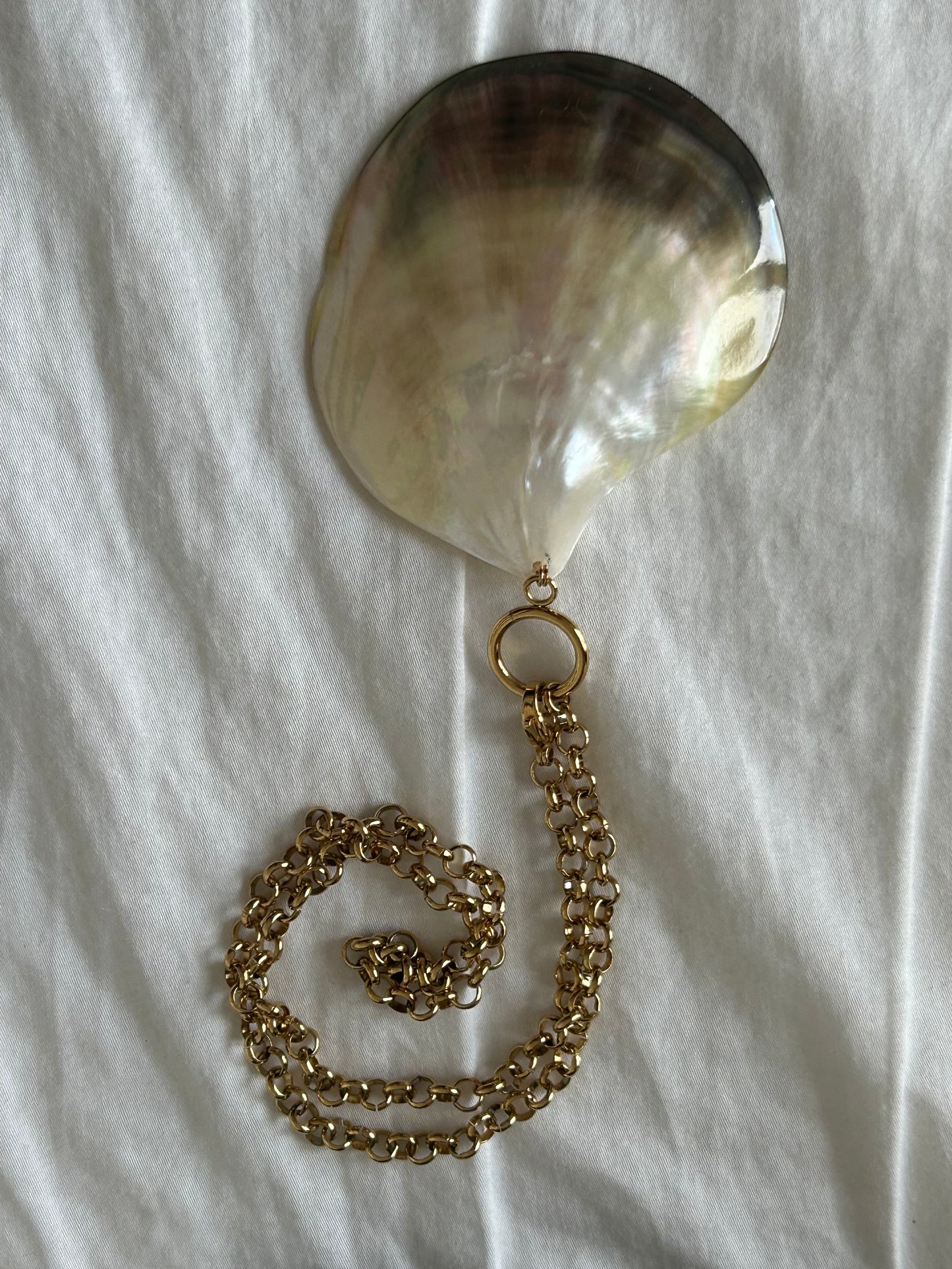 Natural Clam Necklace