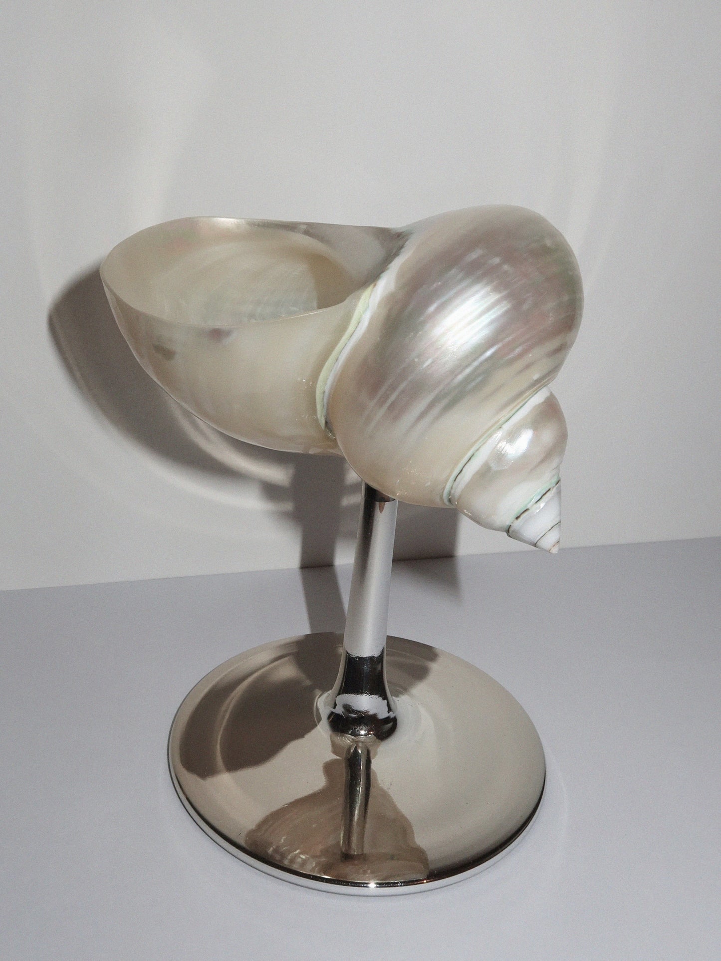 A set of two curly shell glass with silver plated stem.