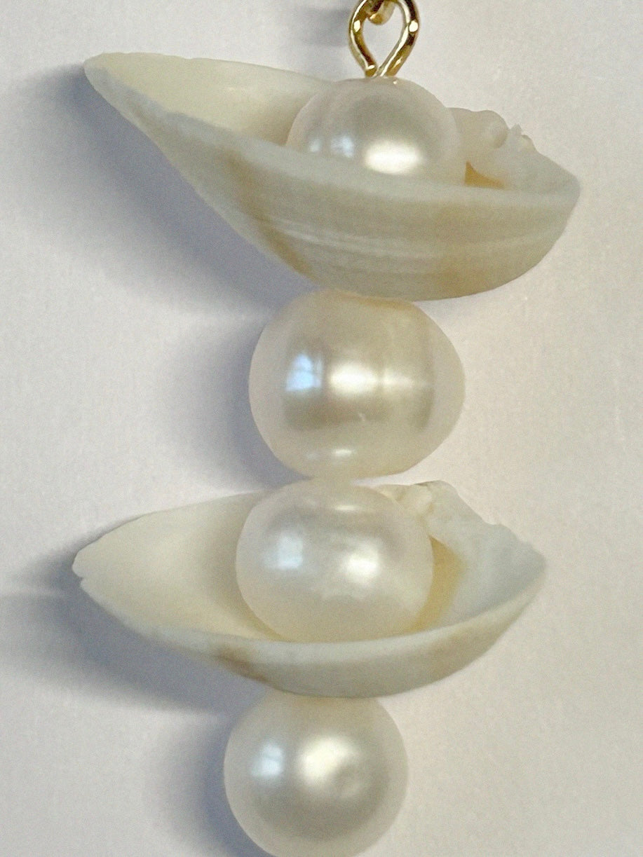 Shell drop