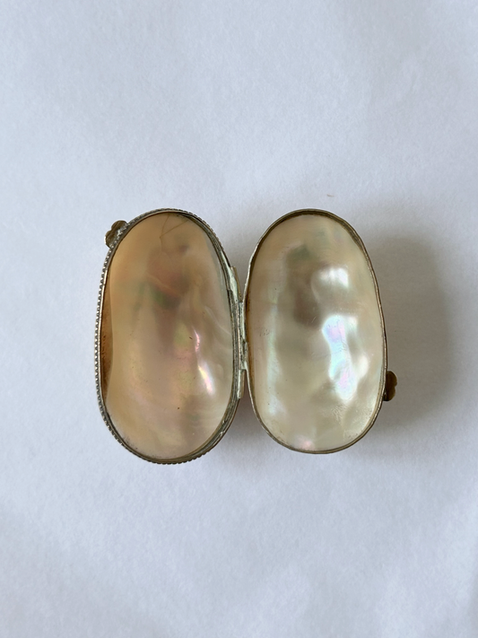 Vintage Cream Shell Coin Purse / Seashell pillbox