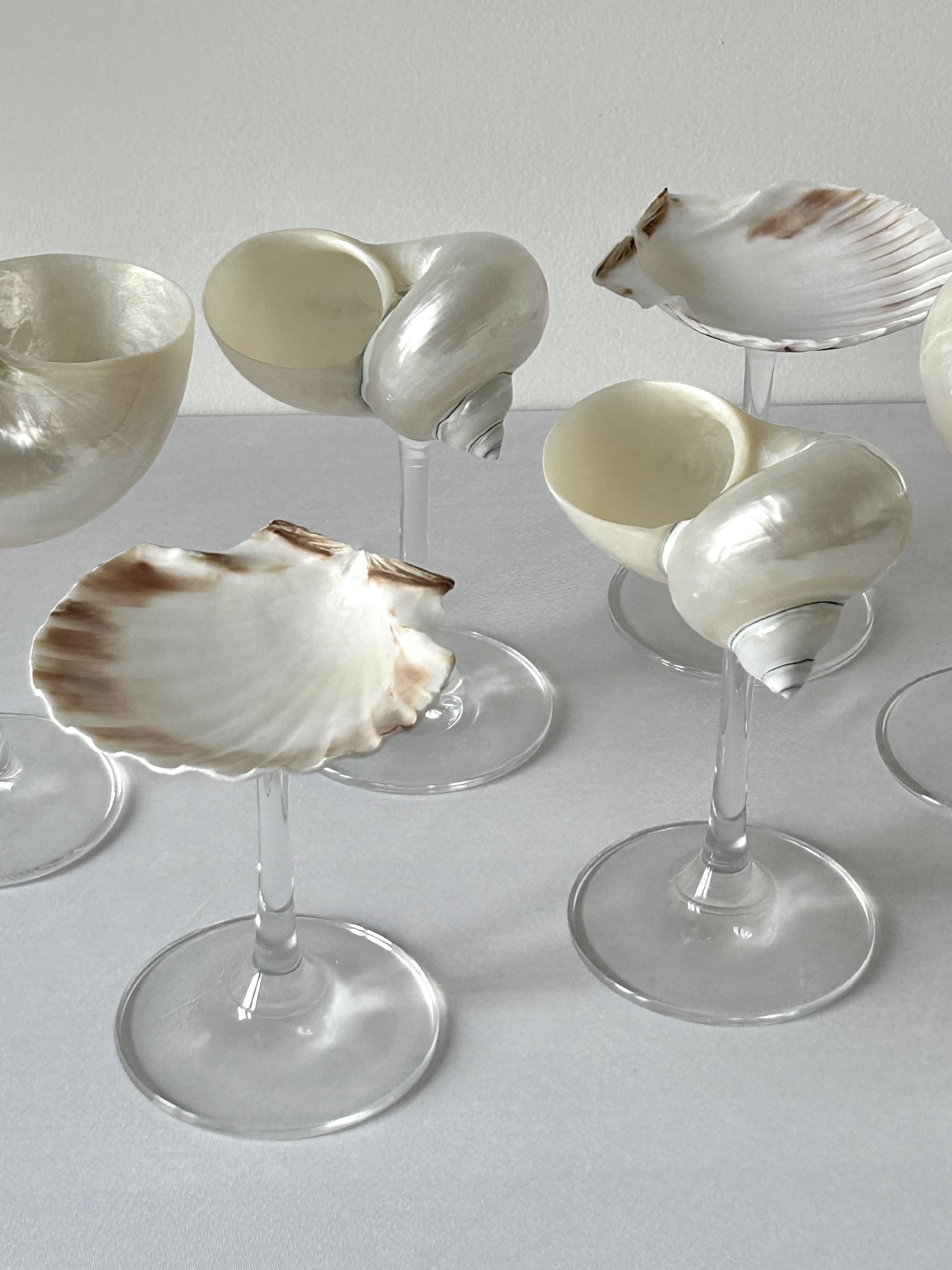 Shells – michelleconceptstoreglam