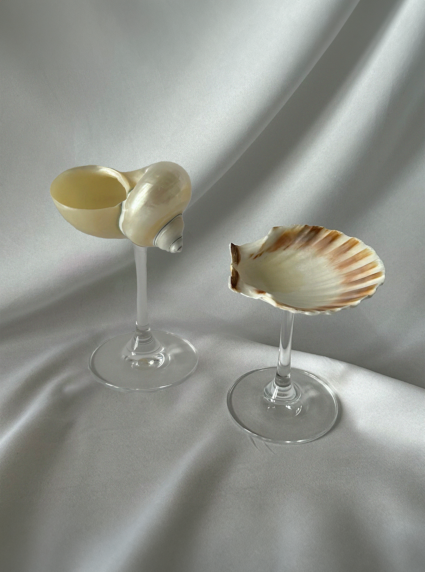 Set of each classic shell glasses.