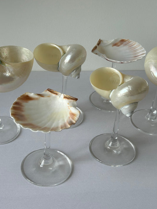 A Shell glasses on request