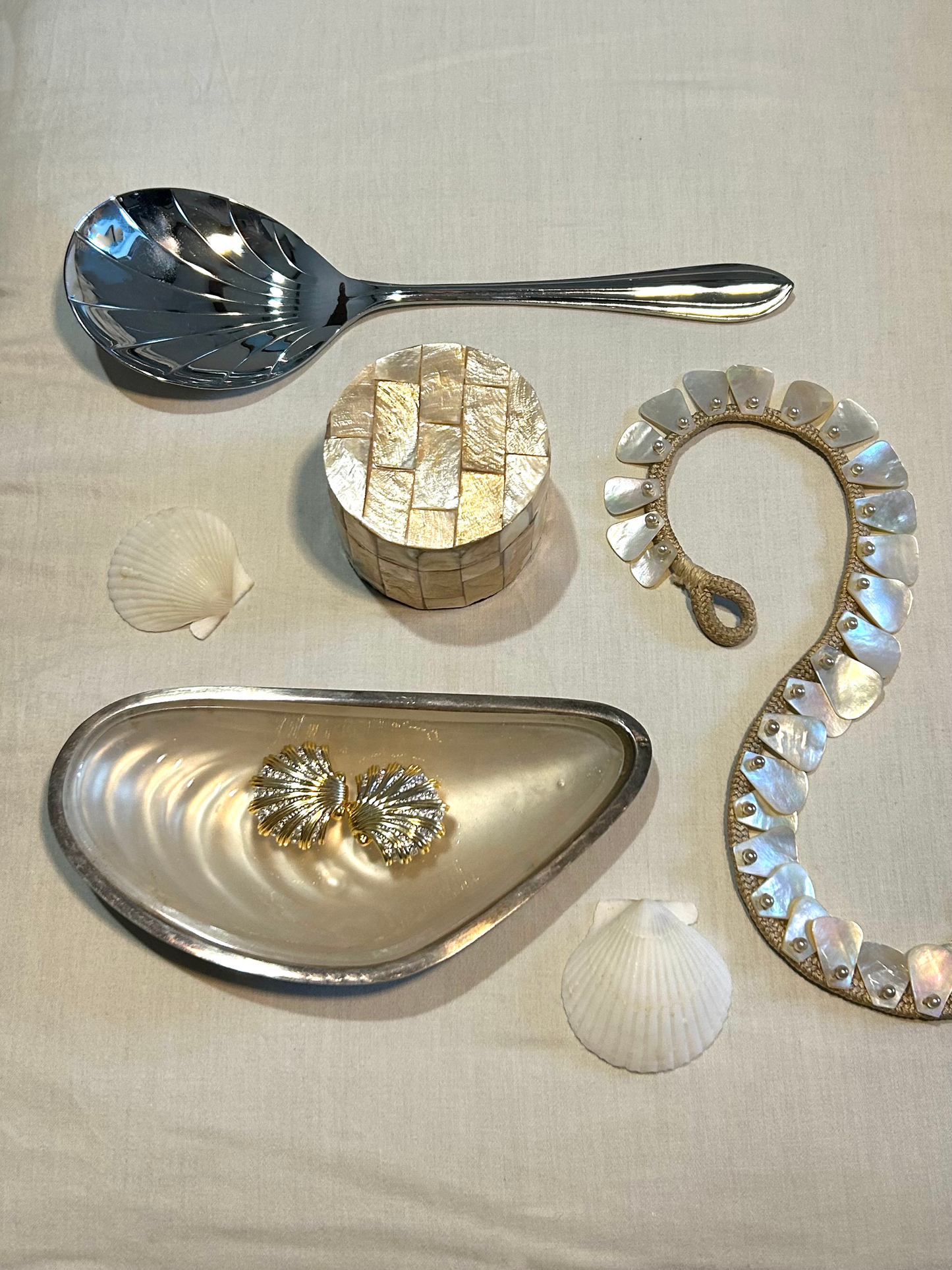 Large shell-shaped spoon