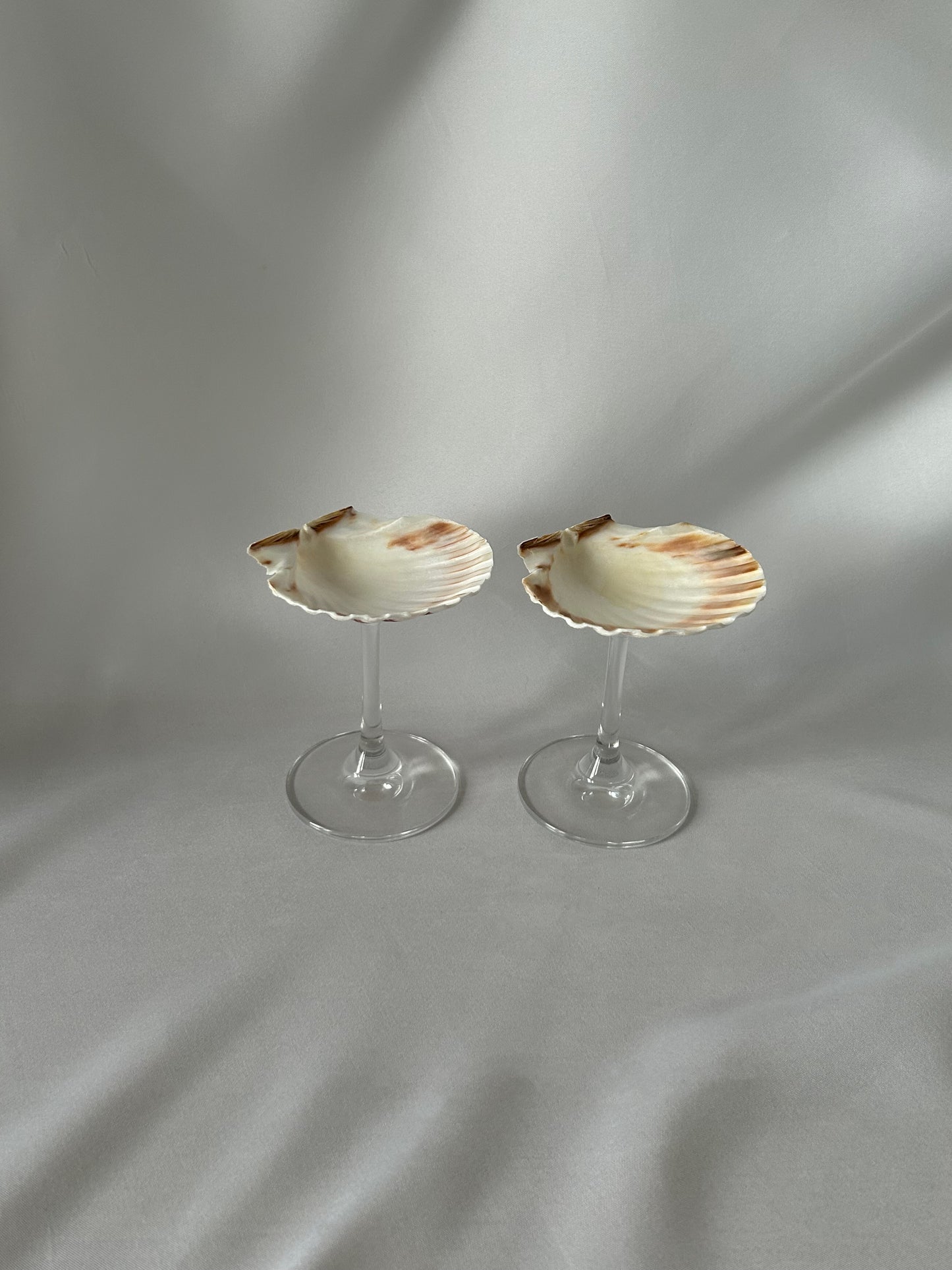 Set of each classic shell glasses.