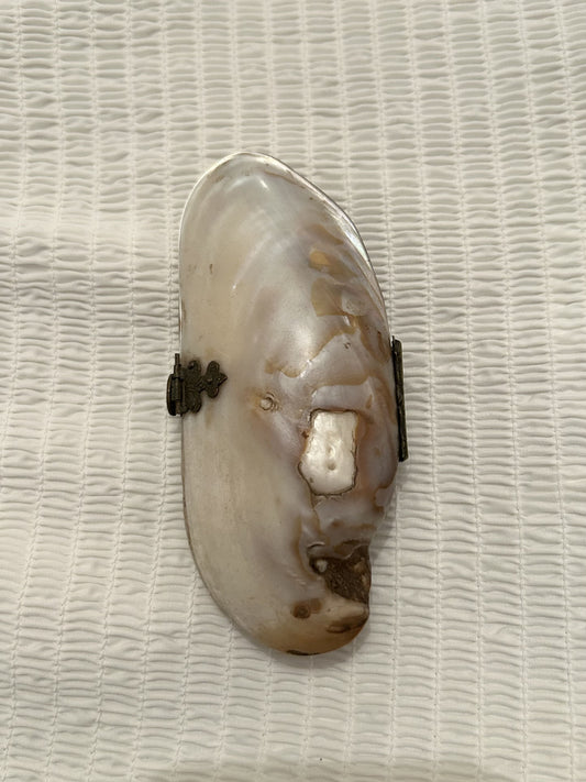 Victorian Shell Purse -