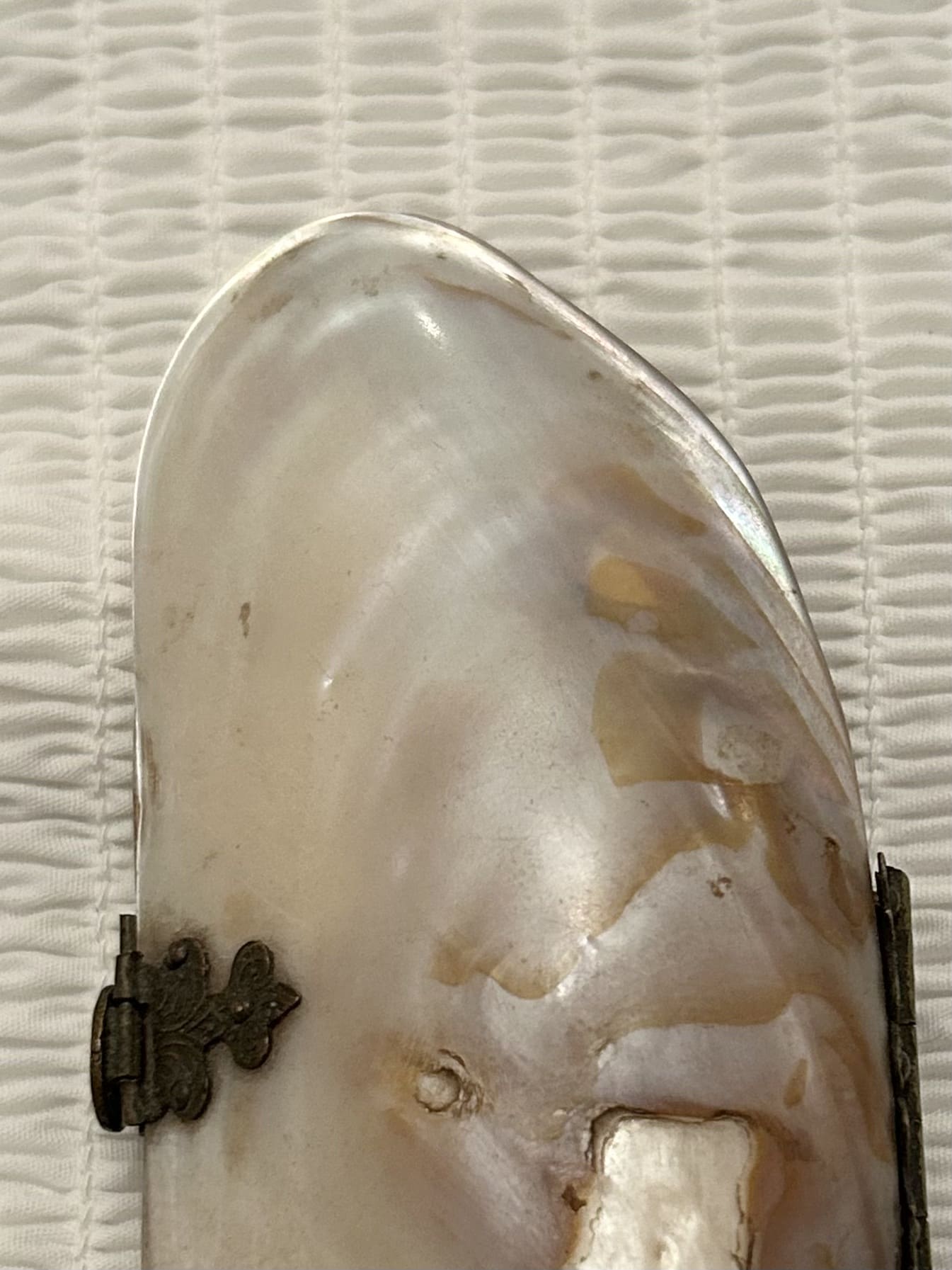 Victorian Shell Purse -