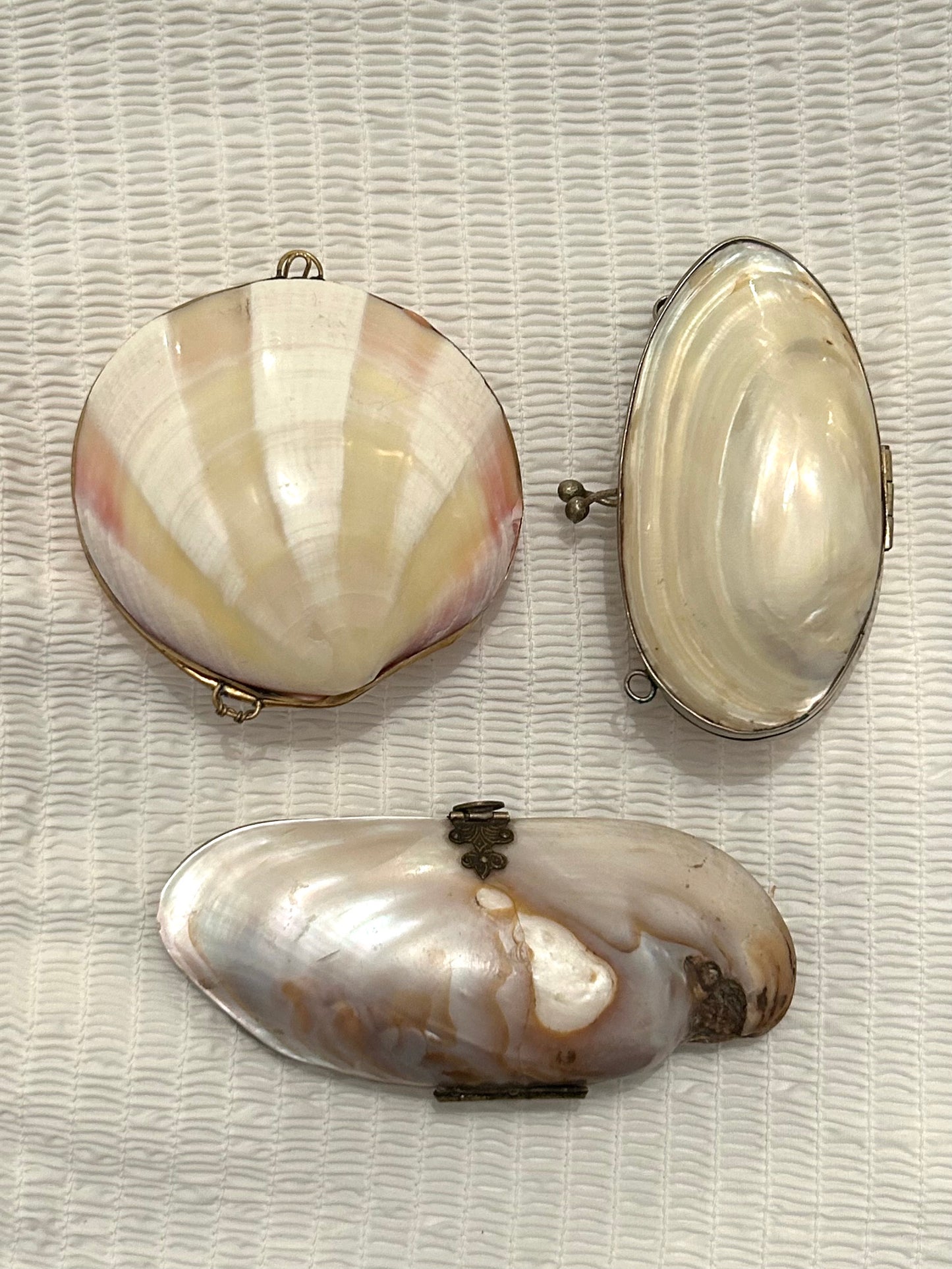 A Vintage Large Ribbed Cream Shell Coin Purse / Trinket Dish