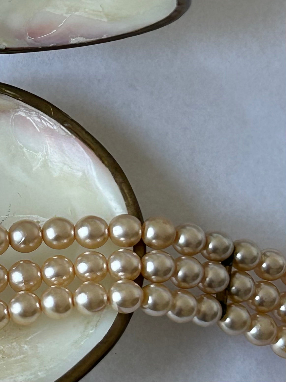 Vintage Cream Shell Coin Purse / Trinket Dish / Seashell pillbox