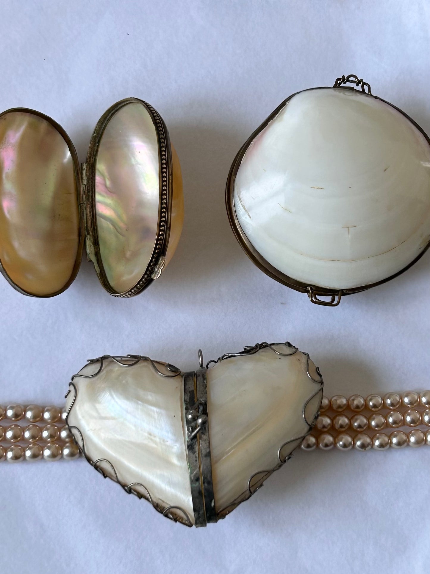 Vintage Cream Shell Coin Purse / Trinket Dish / Seashell pillbox