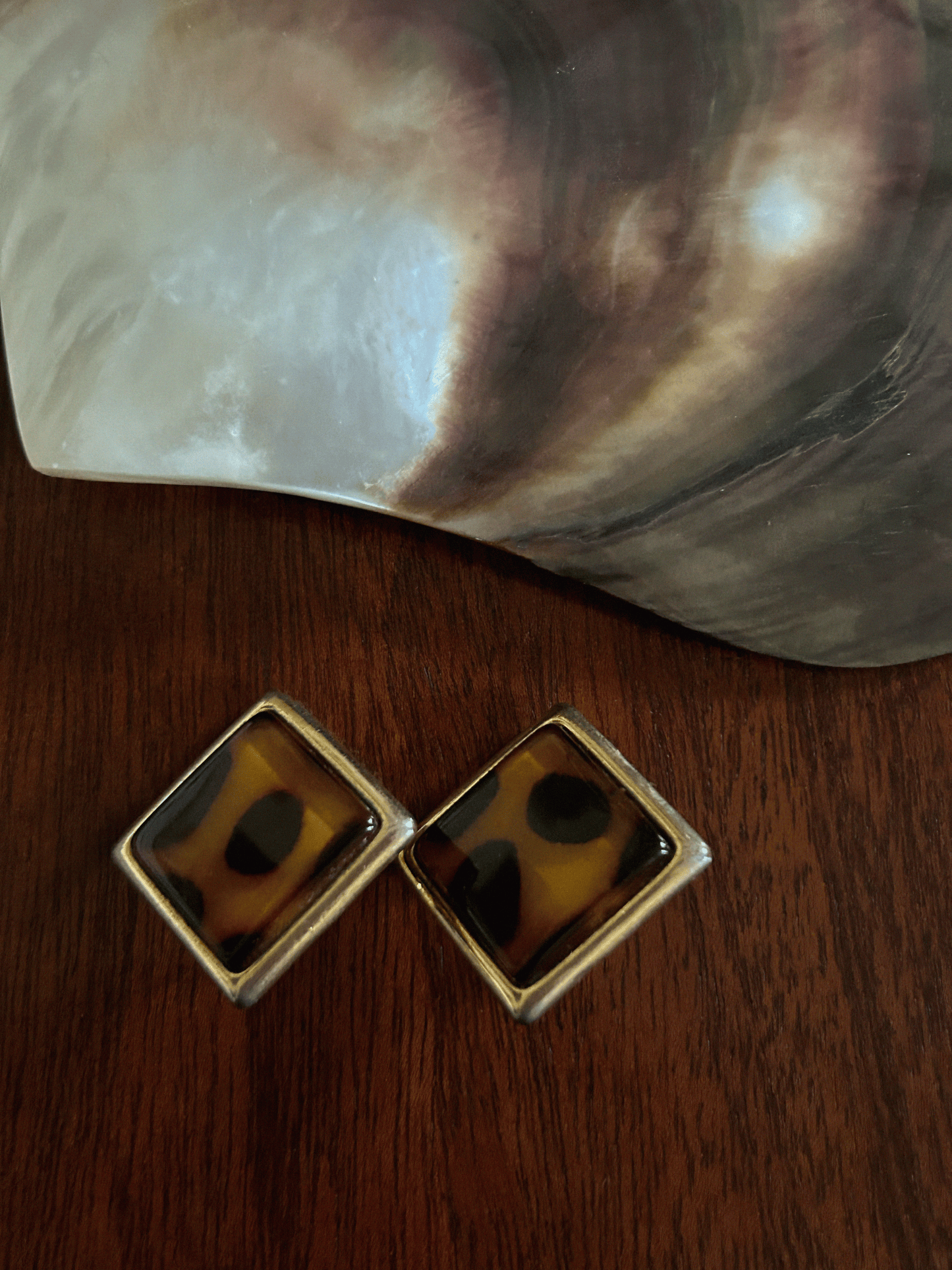 Tortoiseshell  Earrings