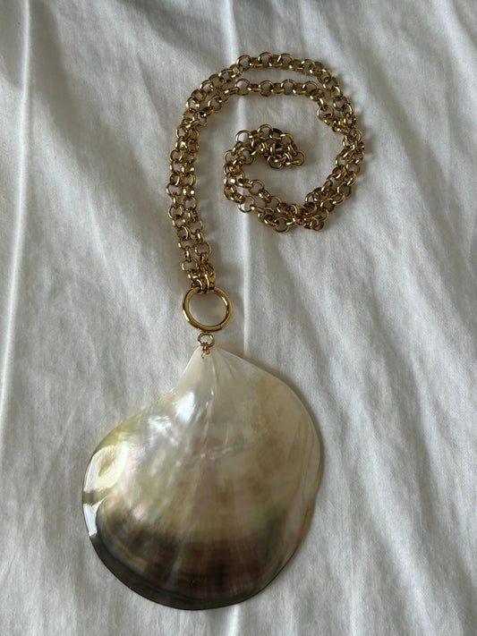 A Natural Clam Necklace